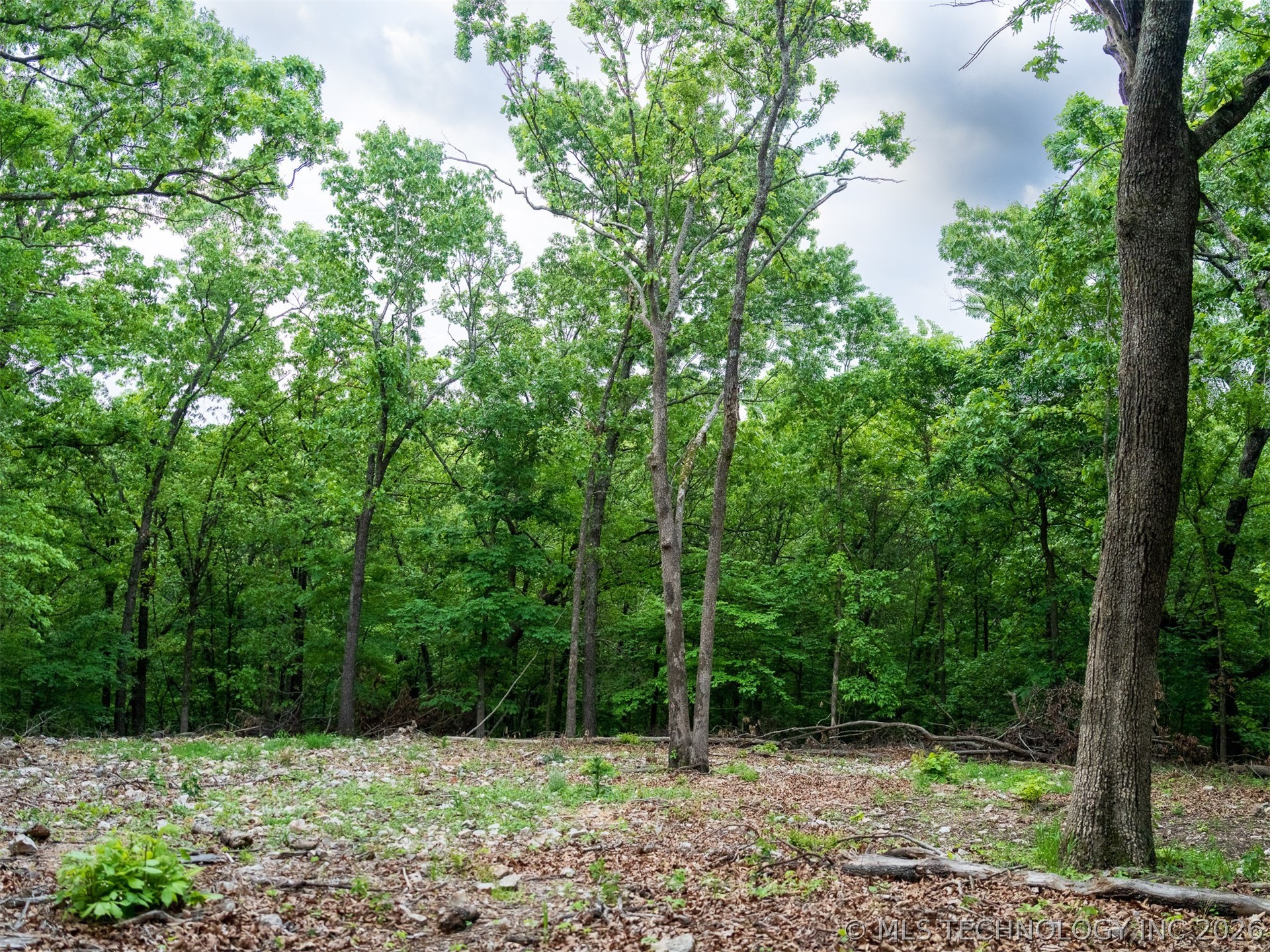 09 Skyline Drive Afton OK 74331