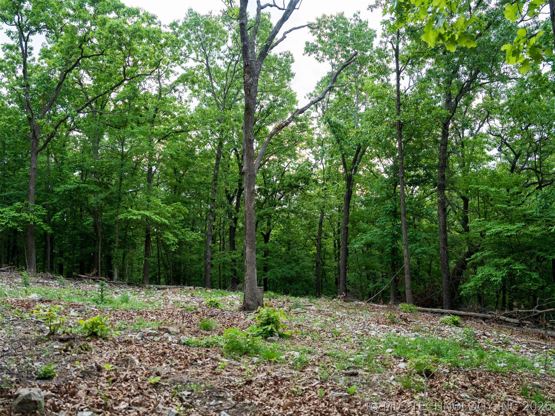 09 Skyline Drive Afton OK 74331