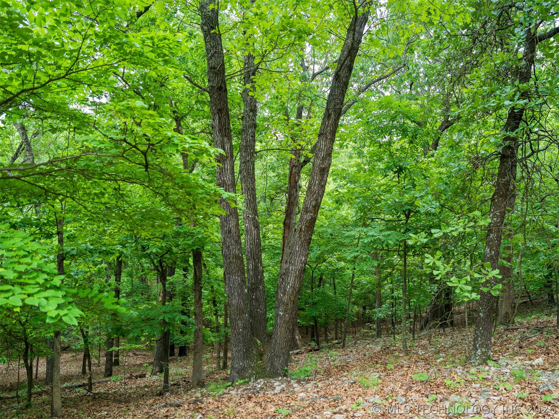 09 Skyline Drive Afton OK 74331