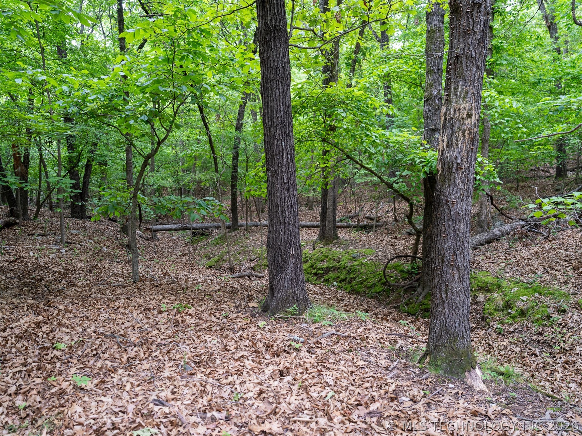 09 Skyline Drive Afton OK 74331