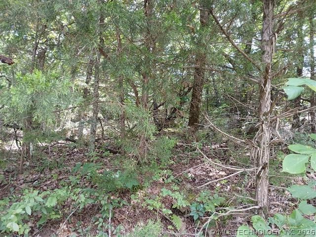 County Road 1170 Eufaula OK 74432