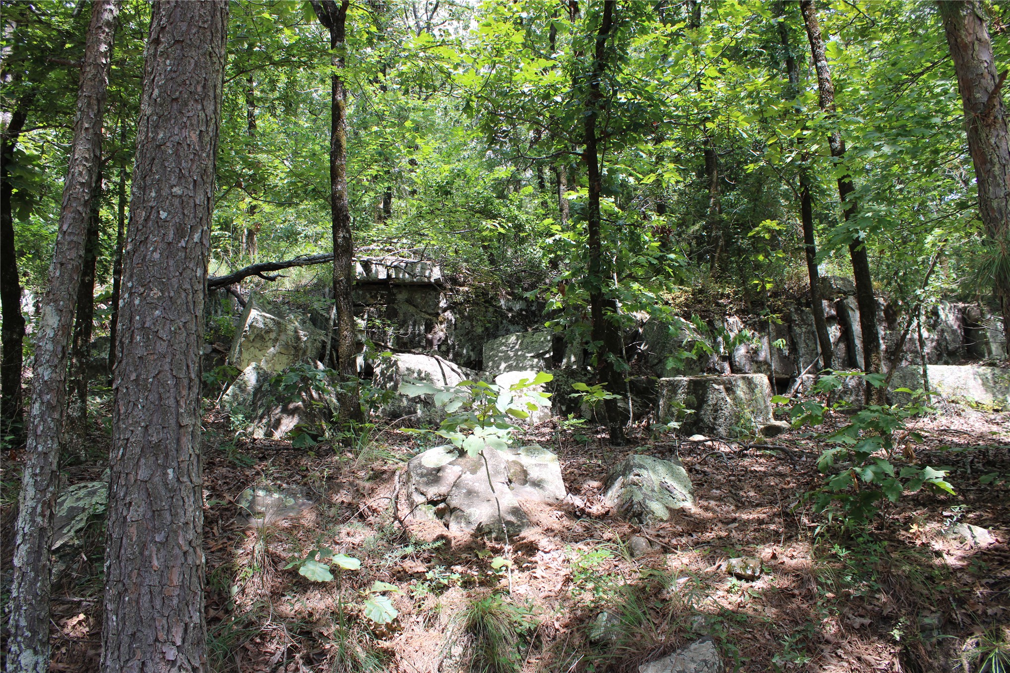 Buffalo Mountain Road Talihina OK 74571