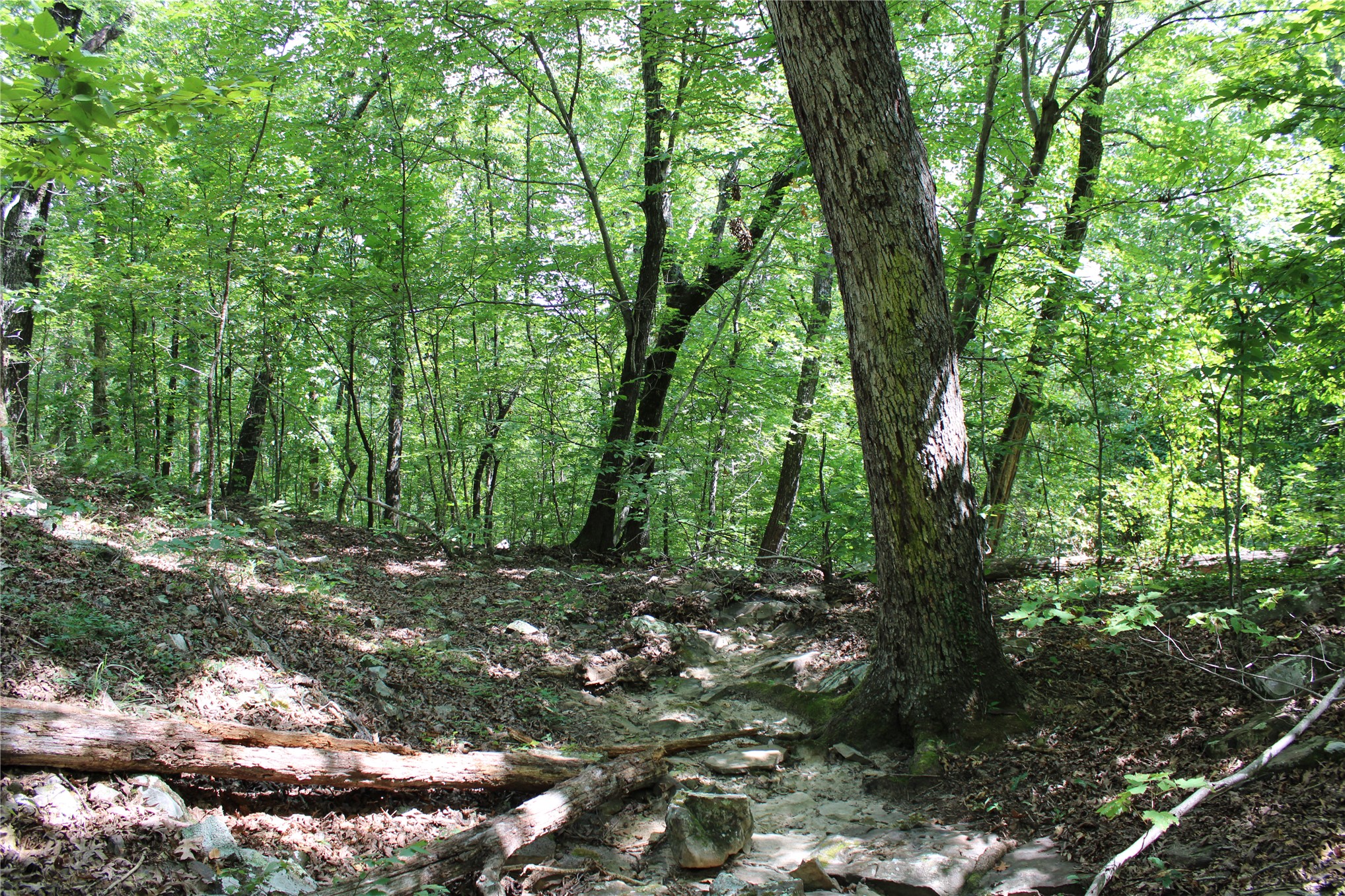 Buffalo Mountain Road Talihina OK 74571