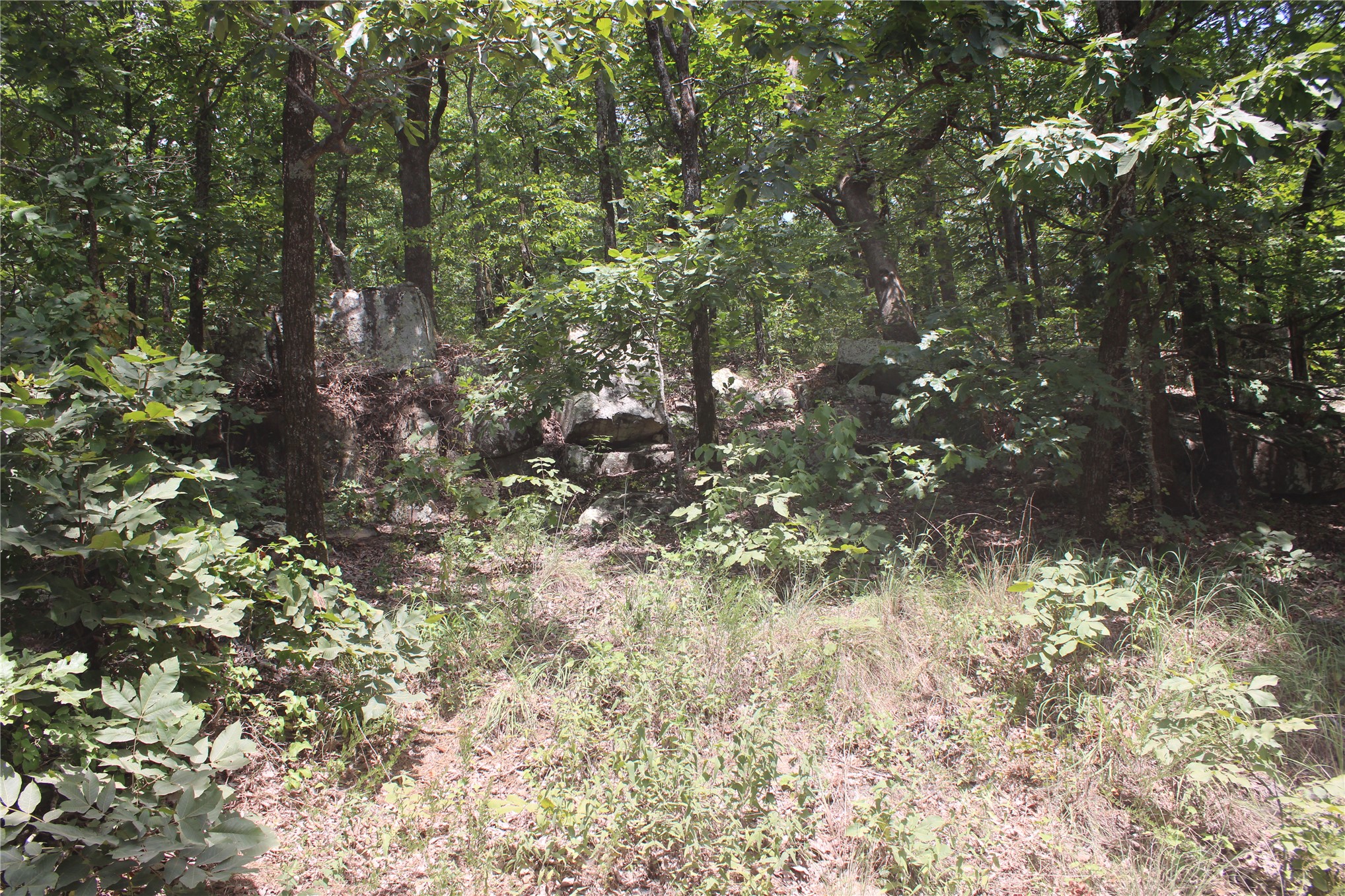 Buffalo Mountain Road Talihina OK 74571