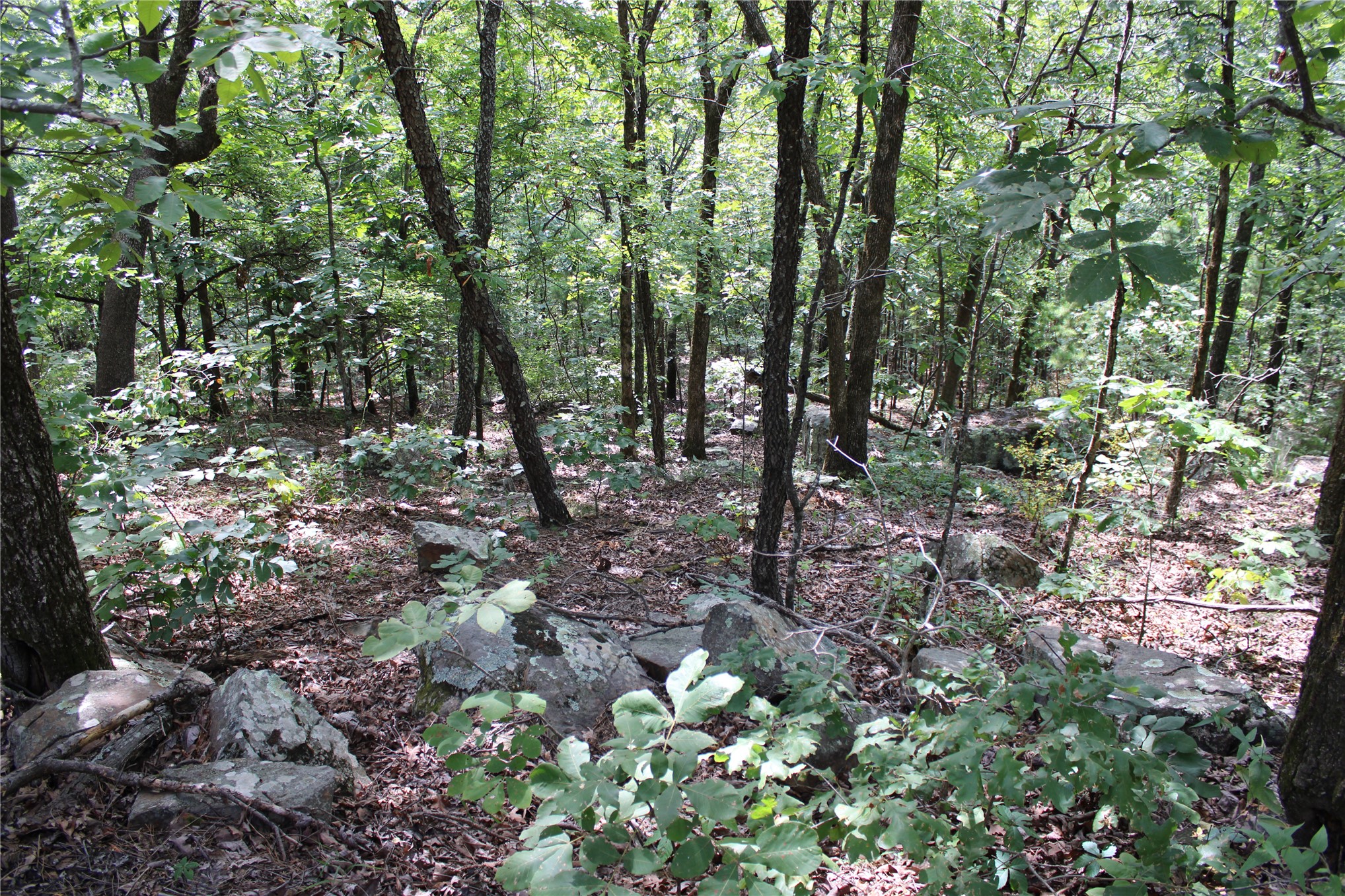 Buffalo Mountain Road Talihina OK 74571