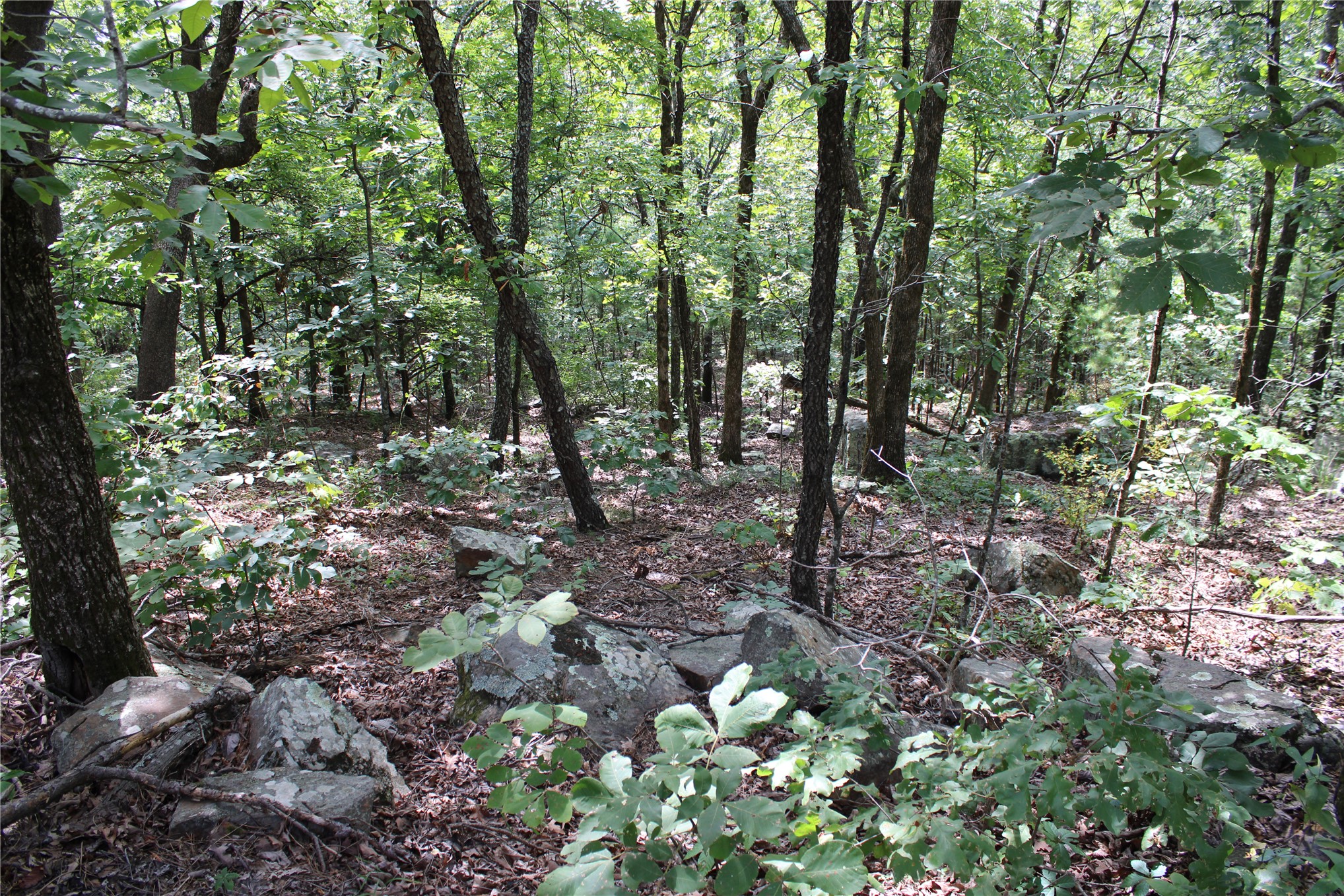 Buffalo Mountain Road Talihina OK 74571