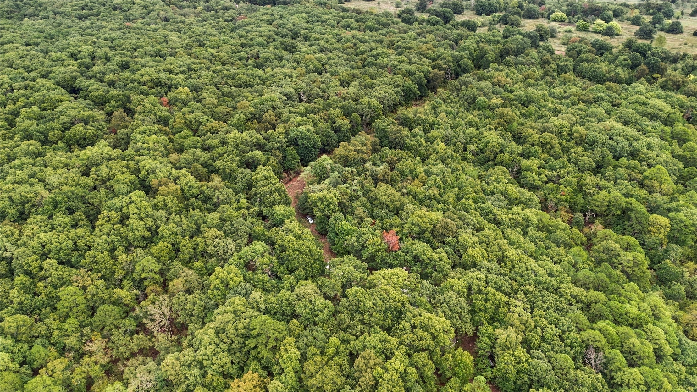 12456 S 4413 Locust Grove OK 74352