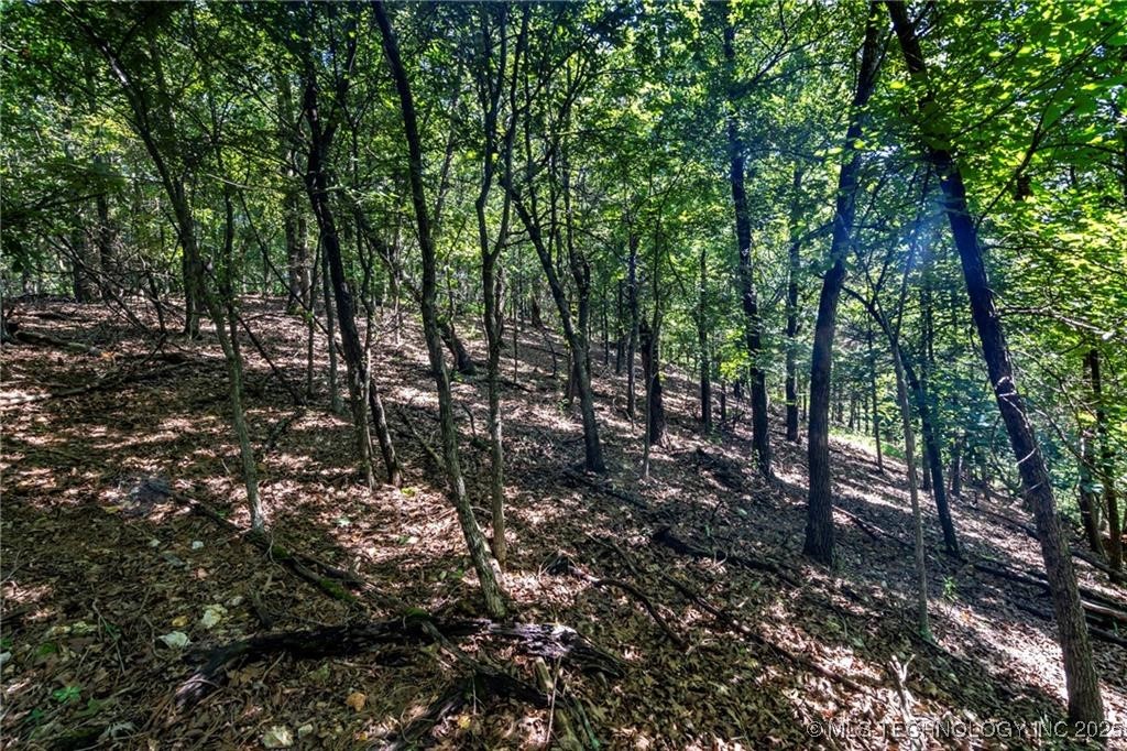1255 Whippoorwill Road Kansas OK 74347