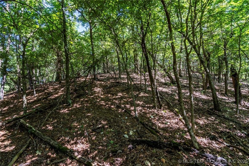 1255 Whippoorwill Road Kansas OK 74347