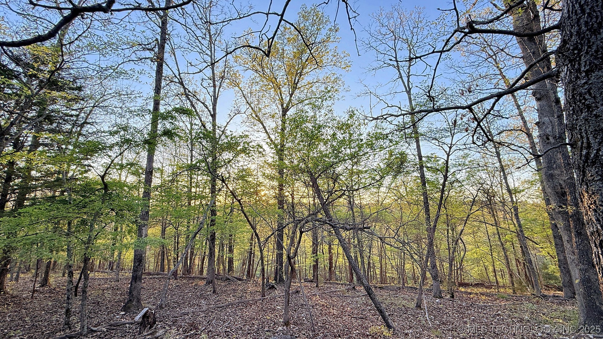 2345 Overlook Drive Kansas OK 74347