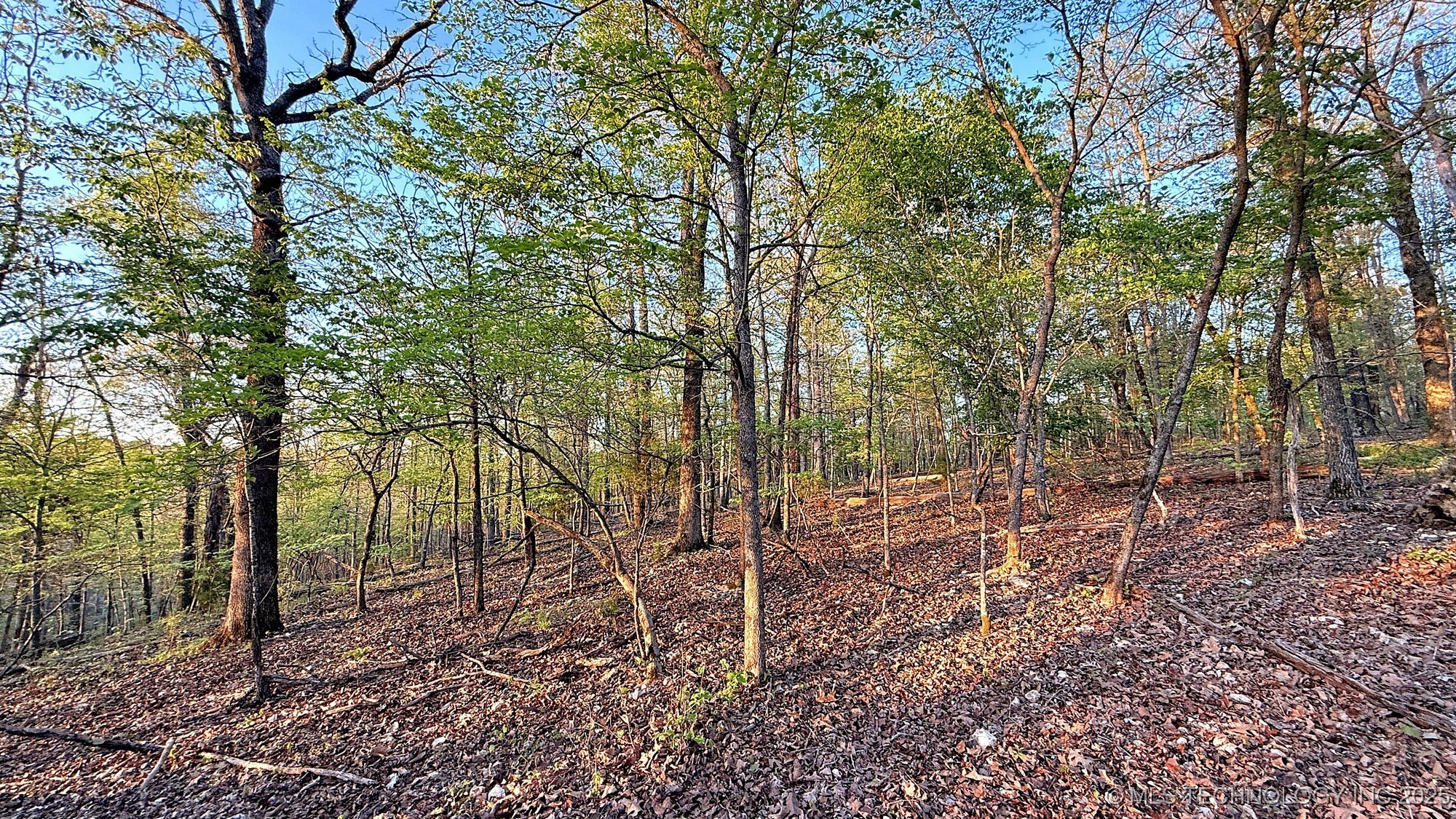 2345 Overlook Drive Kansas OK 74347