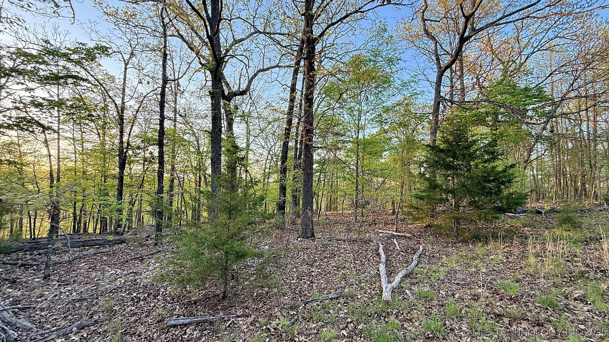 2345 Overlook Drive Kansas OK 74347