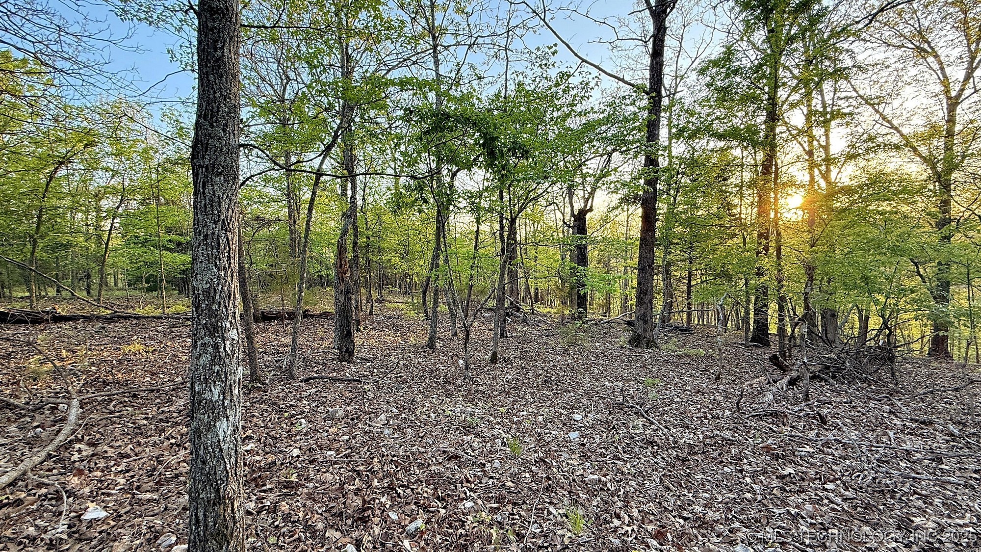 2345 Overlook Drive Kansas OK 74347