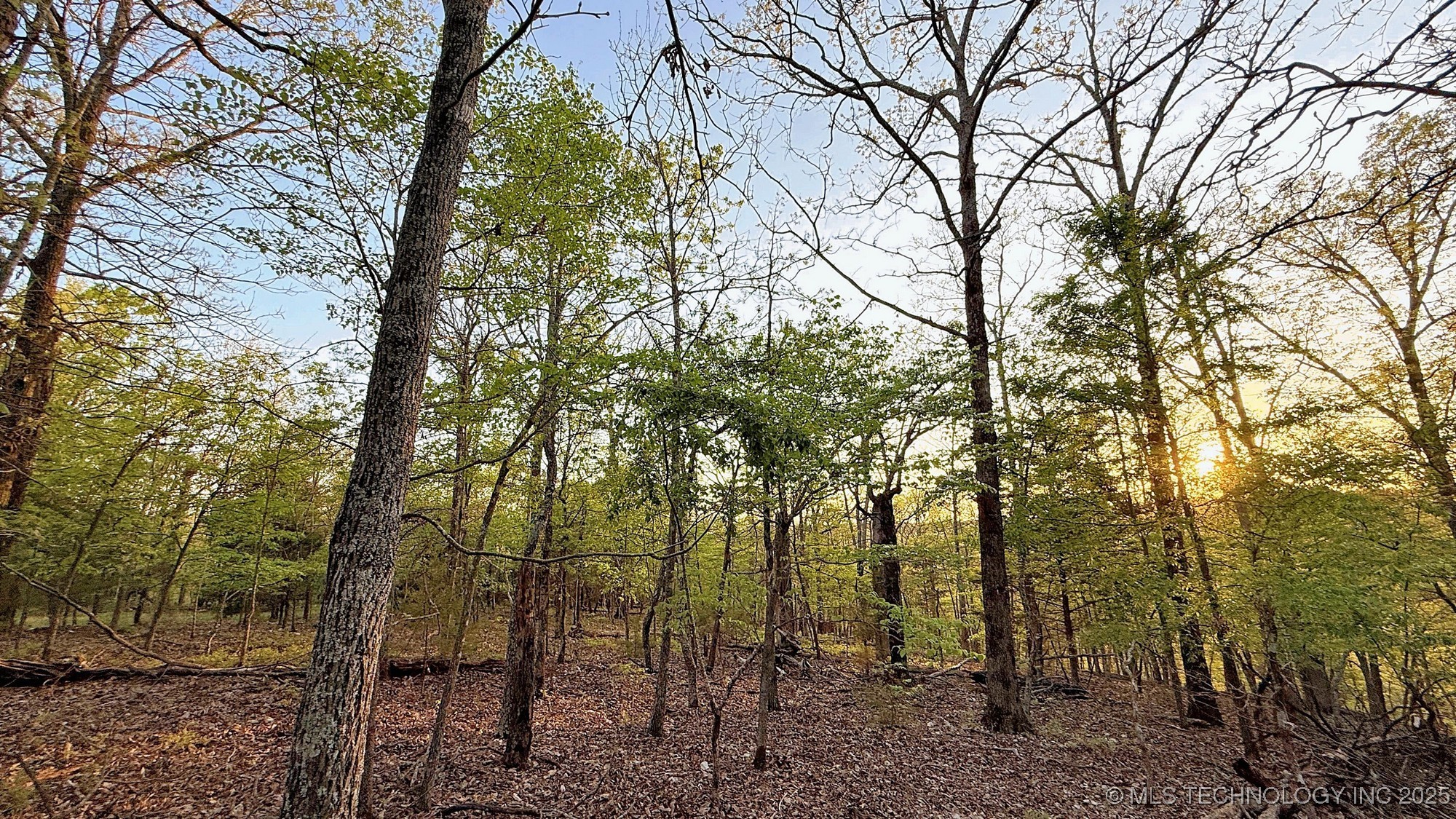 2345 Overlook Drive Kansas OK 74347