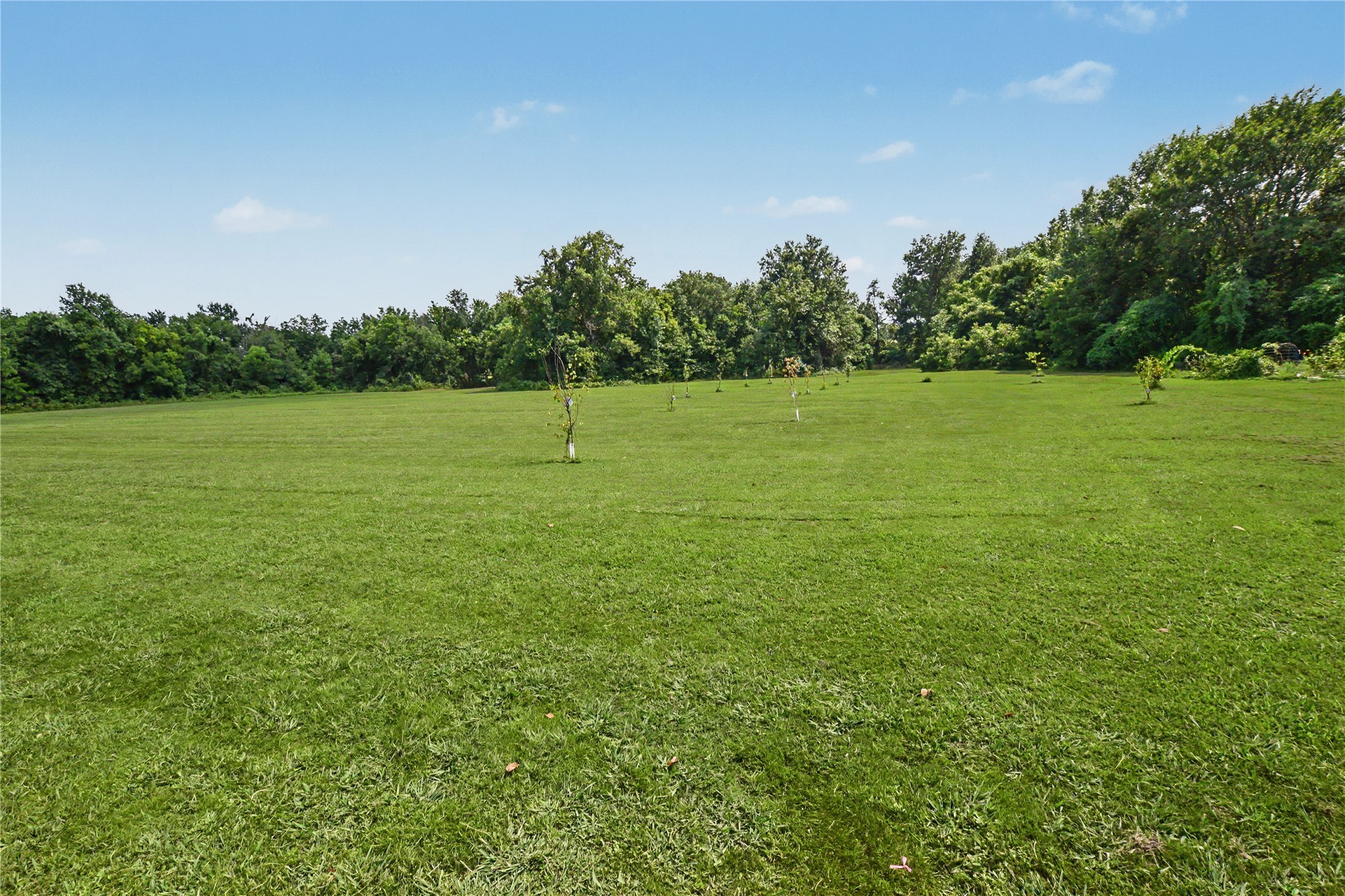 410 Peach Street Locust Grove OK 74352