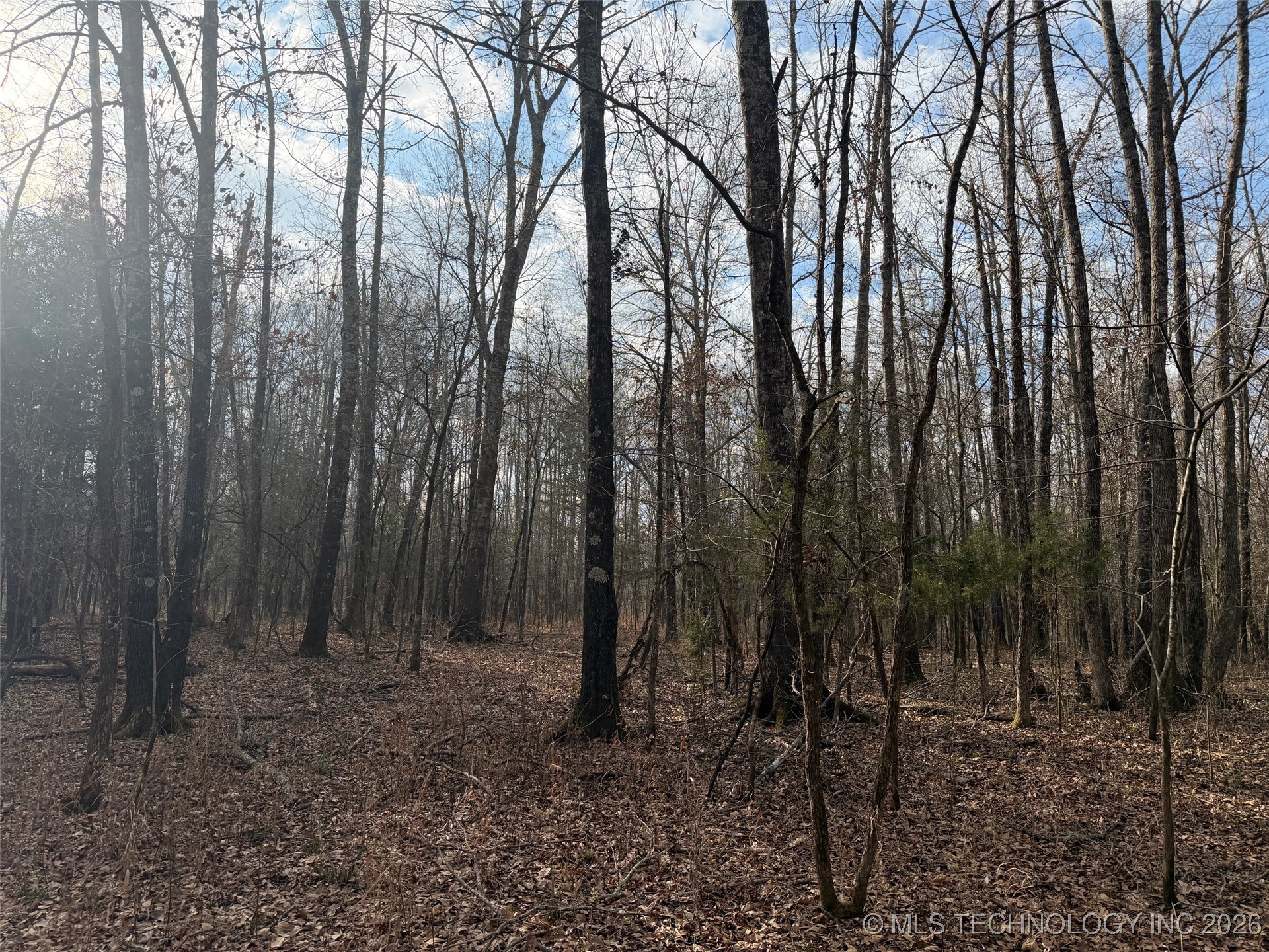 2 Pine Spur Clayton OK 74536