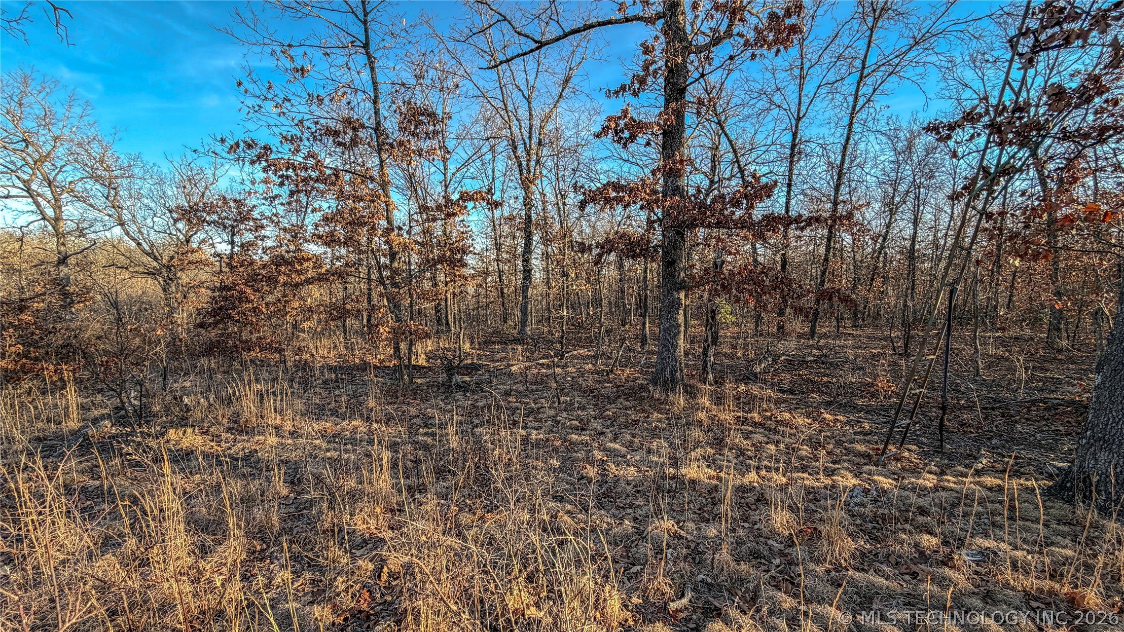 596 Road Grove OK 74344
