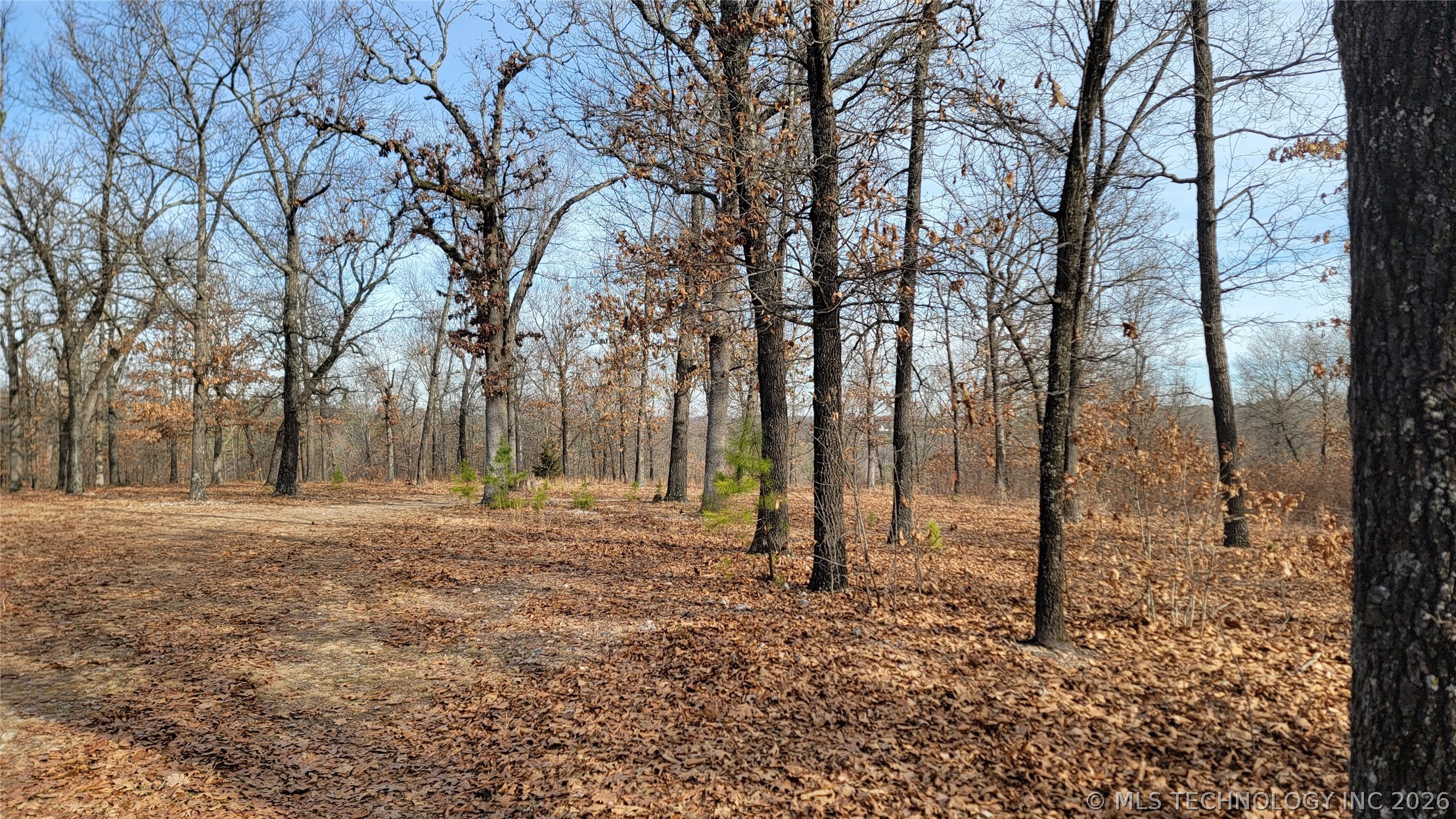 596 Road Grove OK 74344