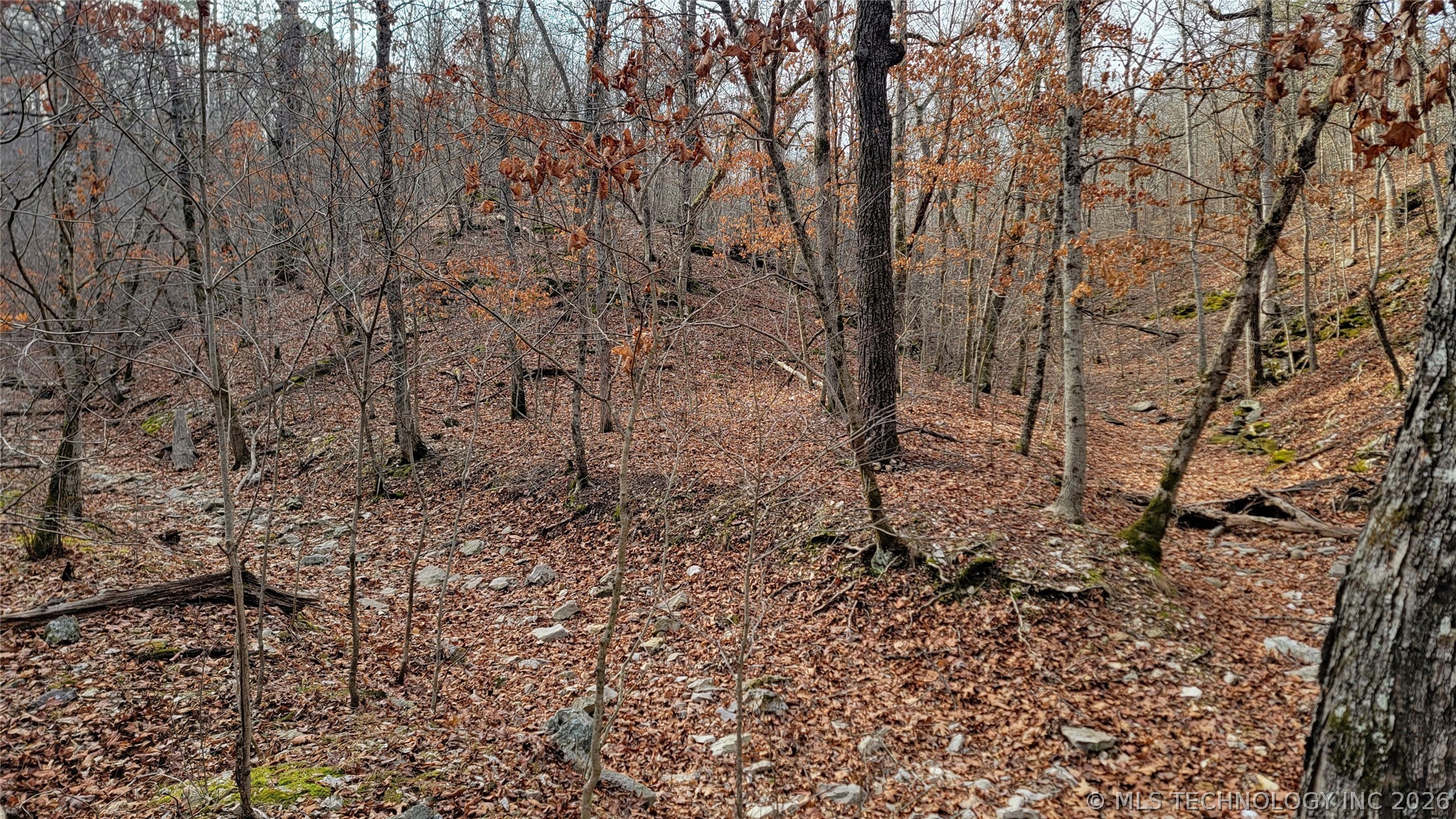596 Road Grove OK 74344