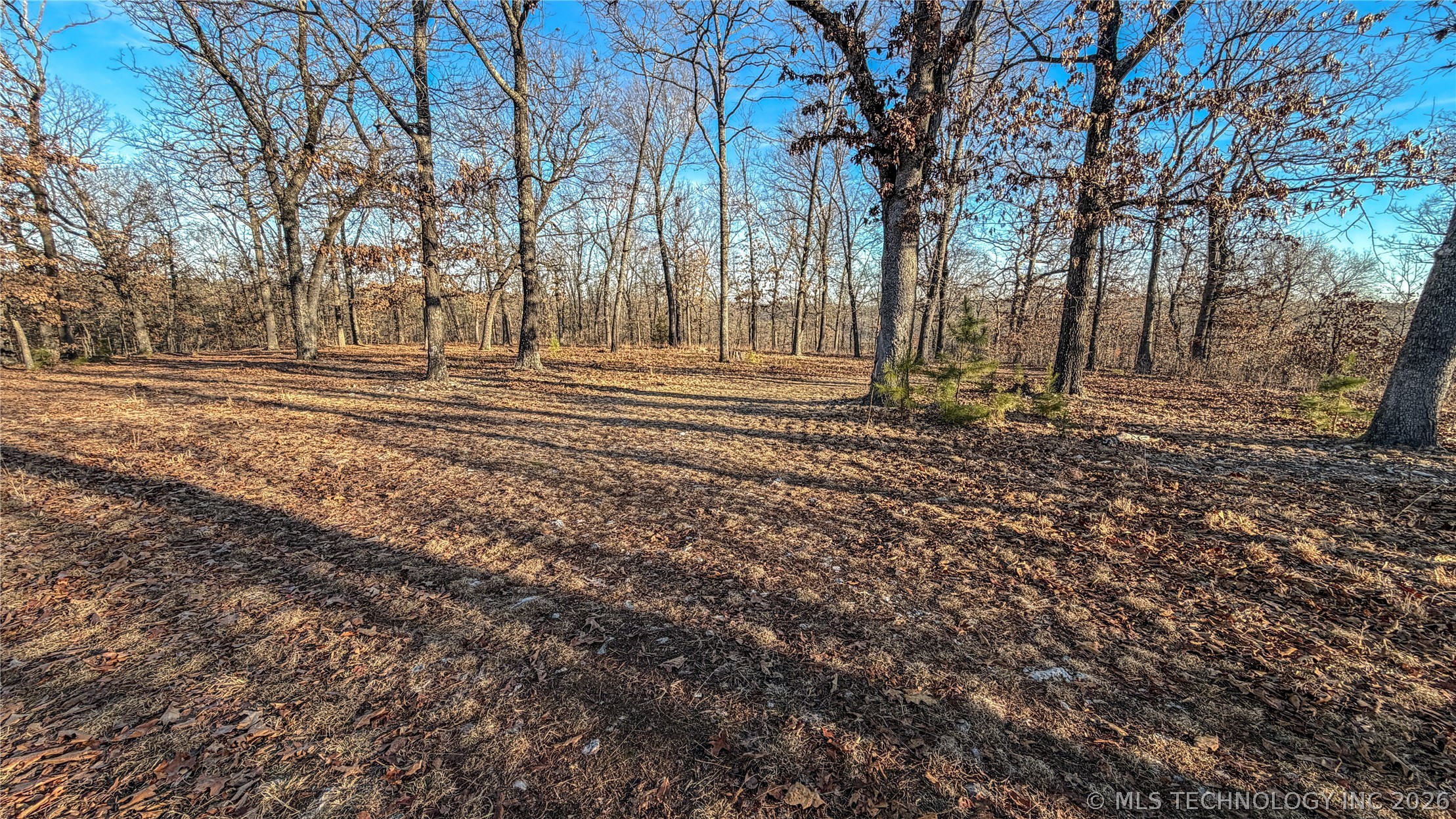 596 Road Grove OK 74344