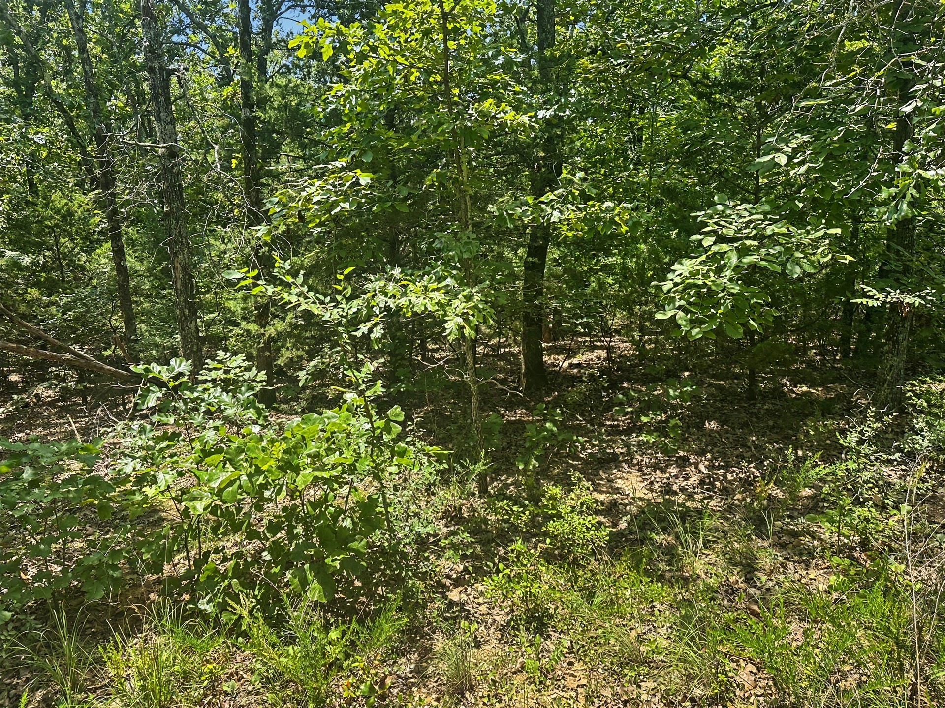 36112 S Arrowhead Drive Park Hill OK 74451