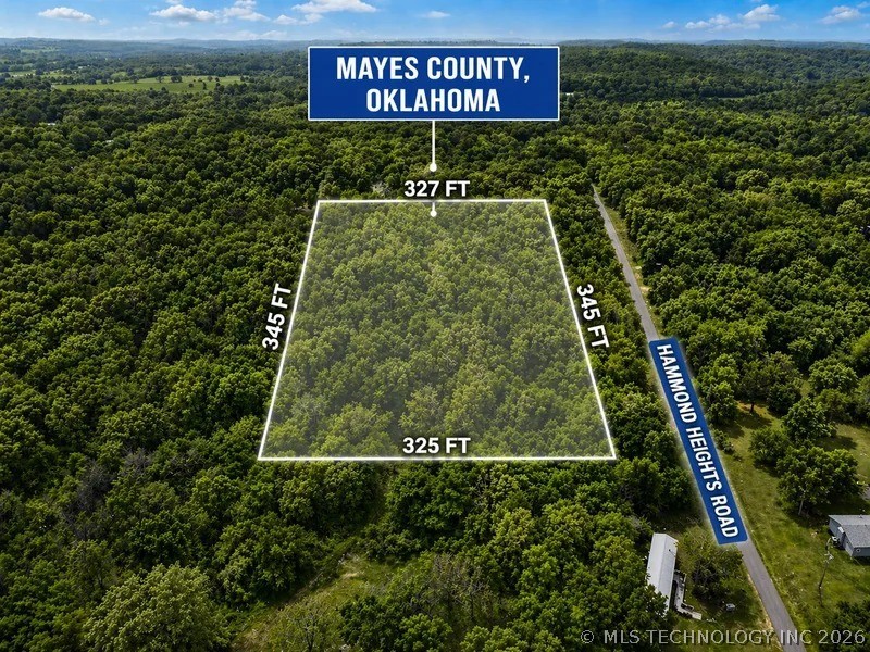 7787 S 436 Locust Grove OK 74352