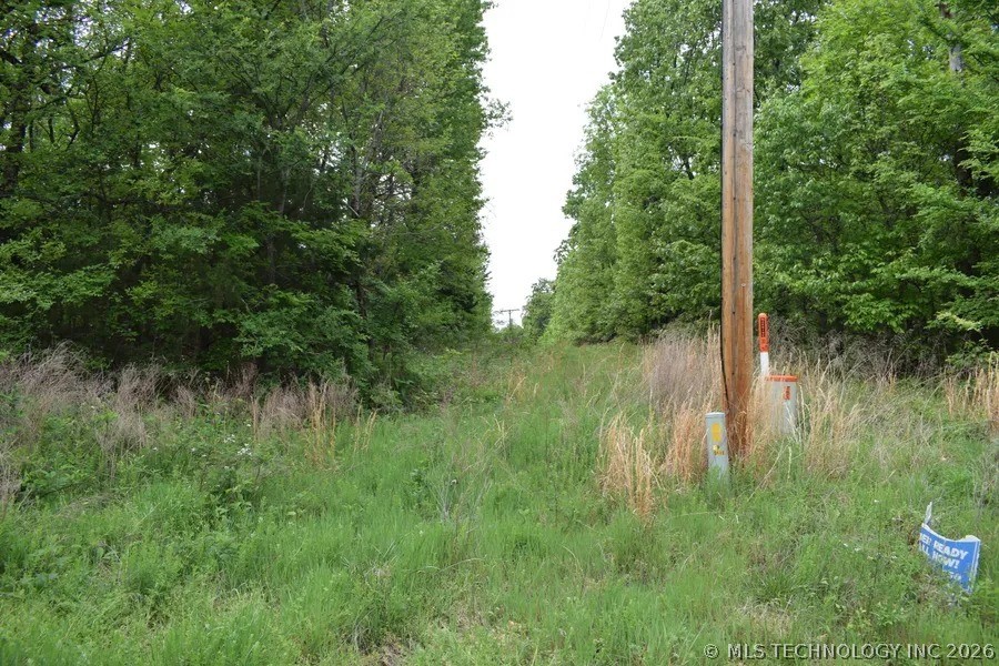 7787 S 436 Locust Grove OK 74352