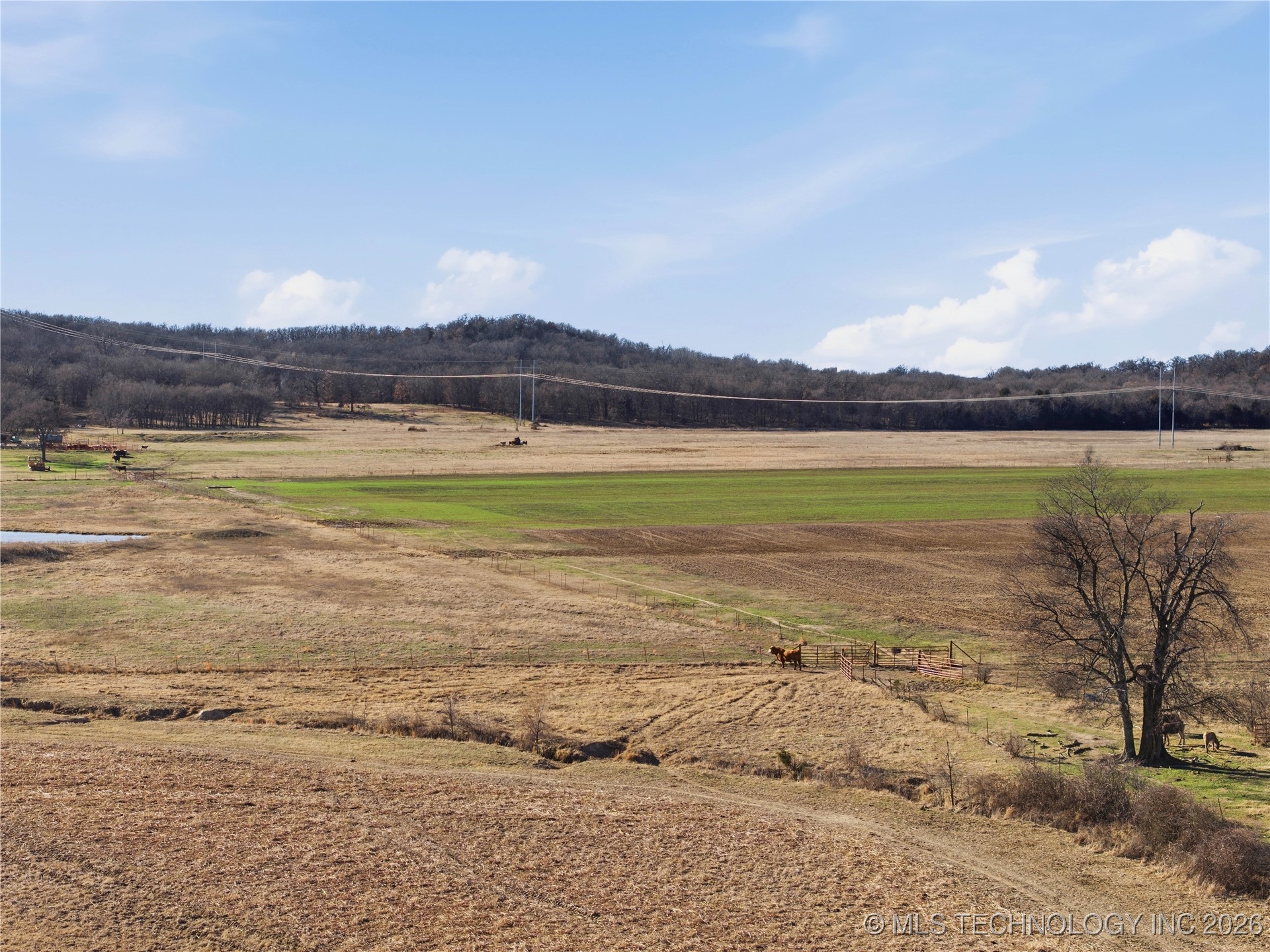 424603 E 1104 Road Checotah OK 74426