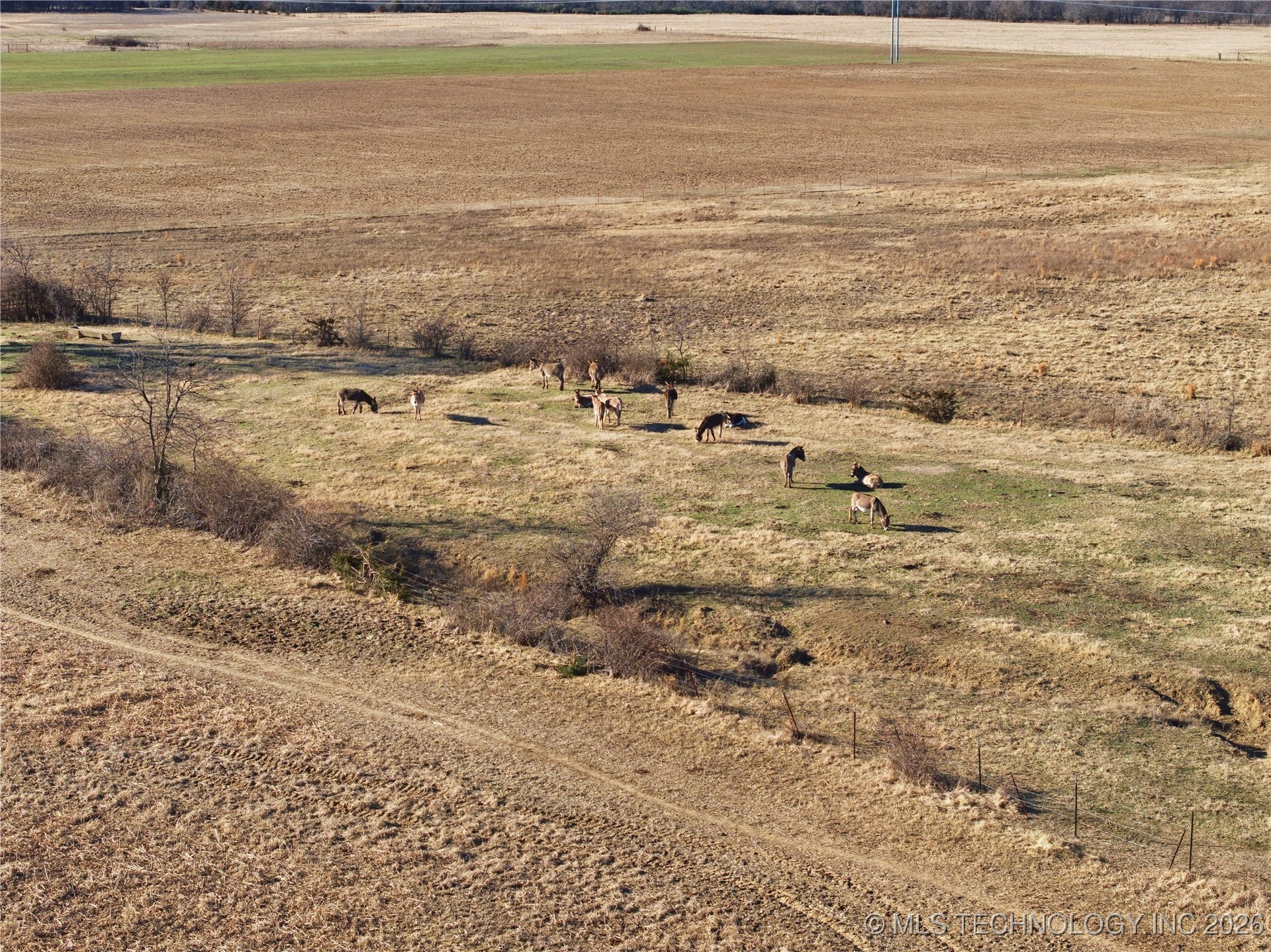 424603 E 1104 Road Checotah OK 74426