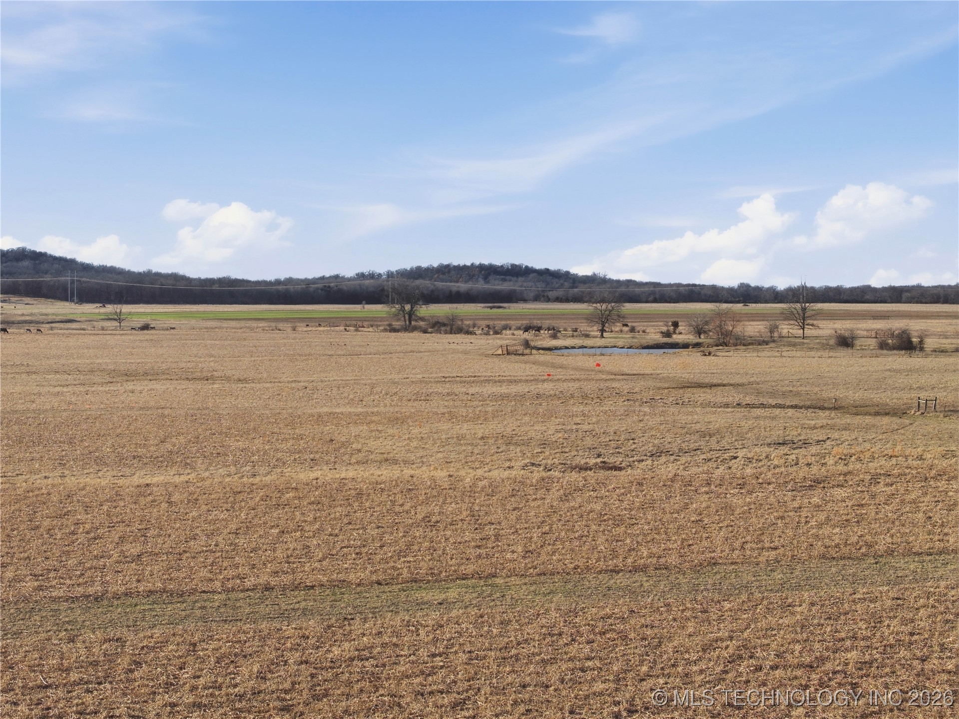 424603 E 1104 Road Checotah OK 74426