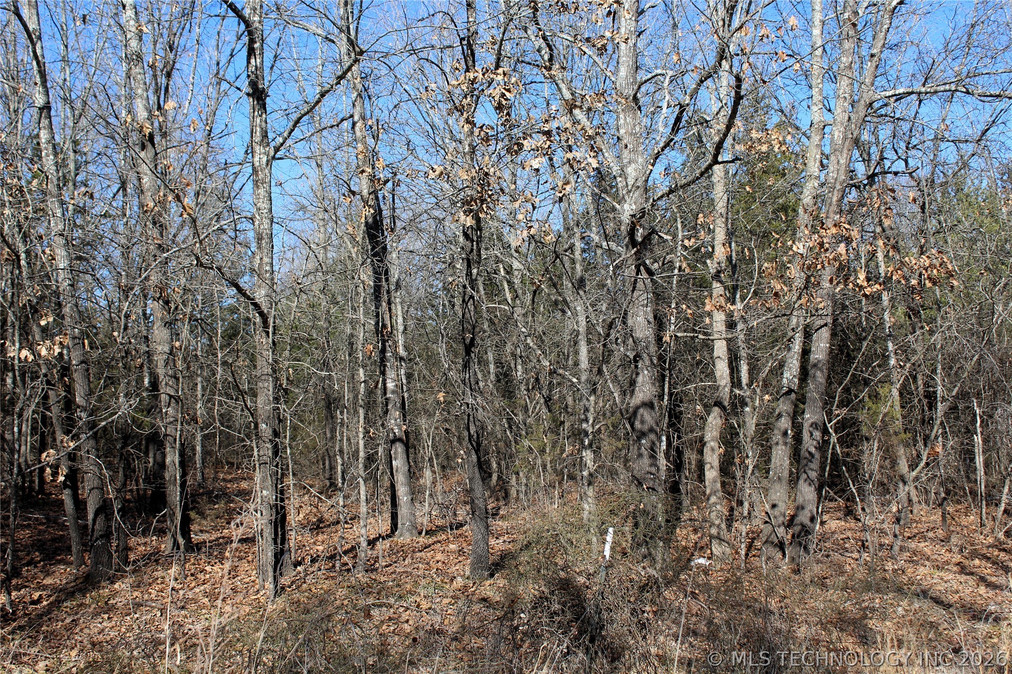 Sandstone Durant OK 74701