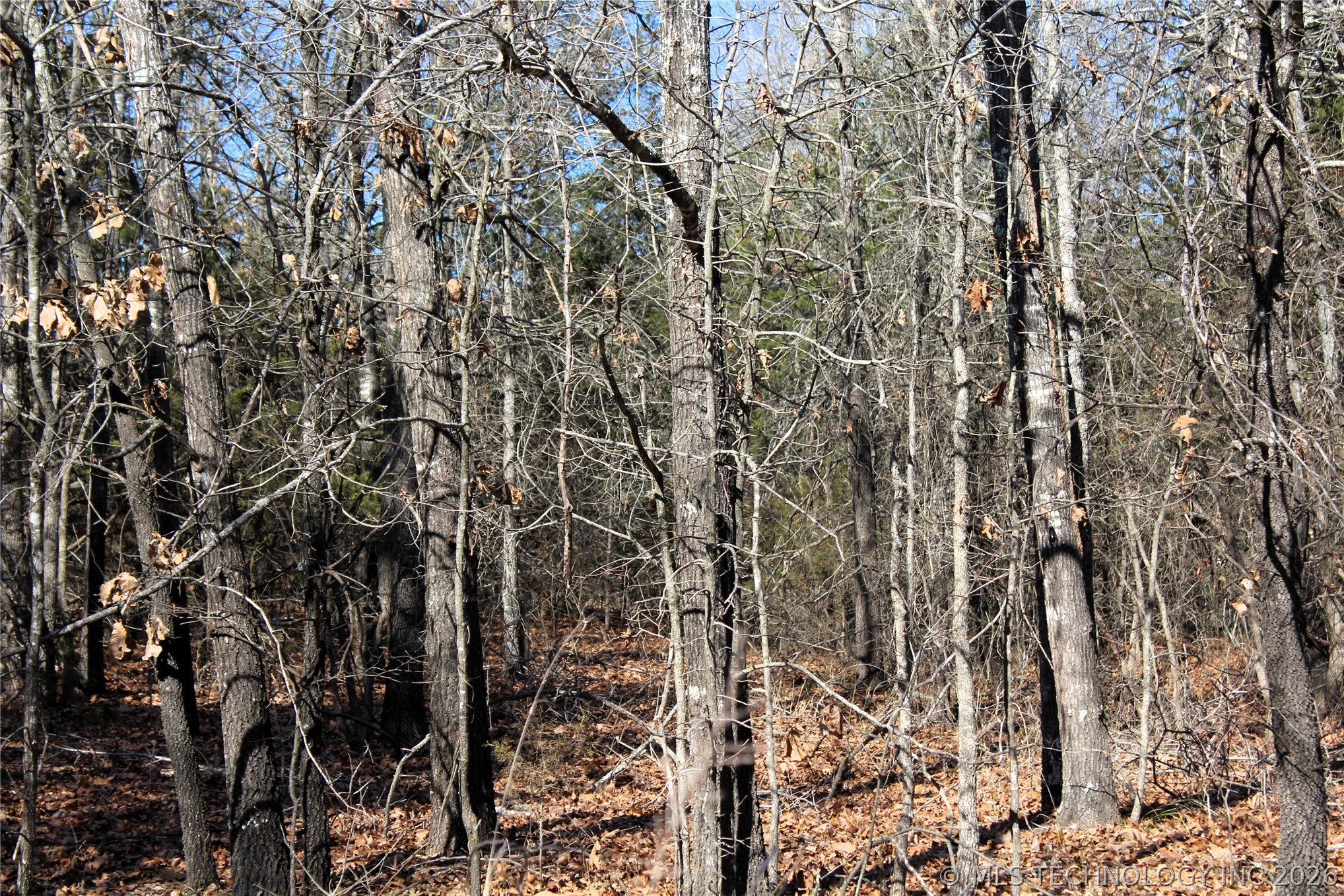 Sandstone Durant OK 74701