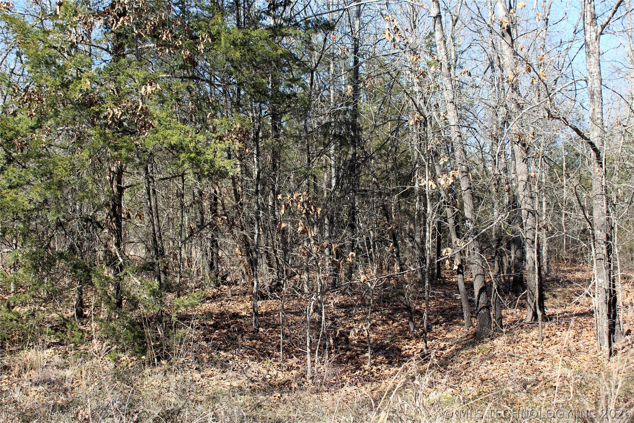 Sandstone Durant OK 74701