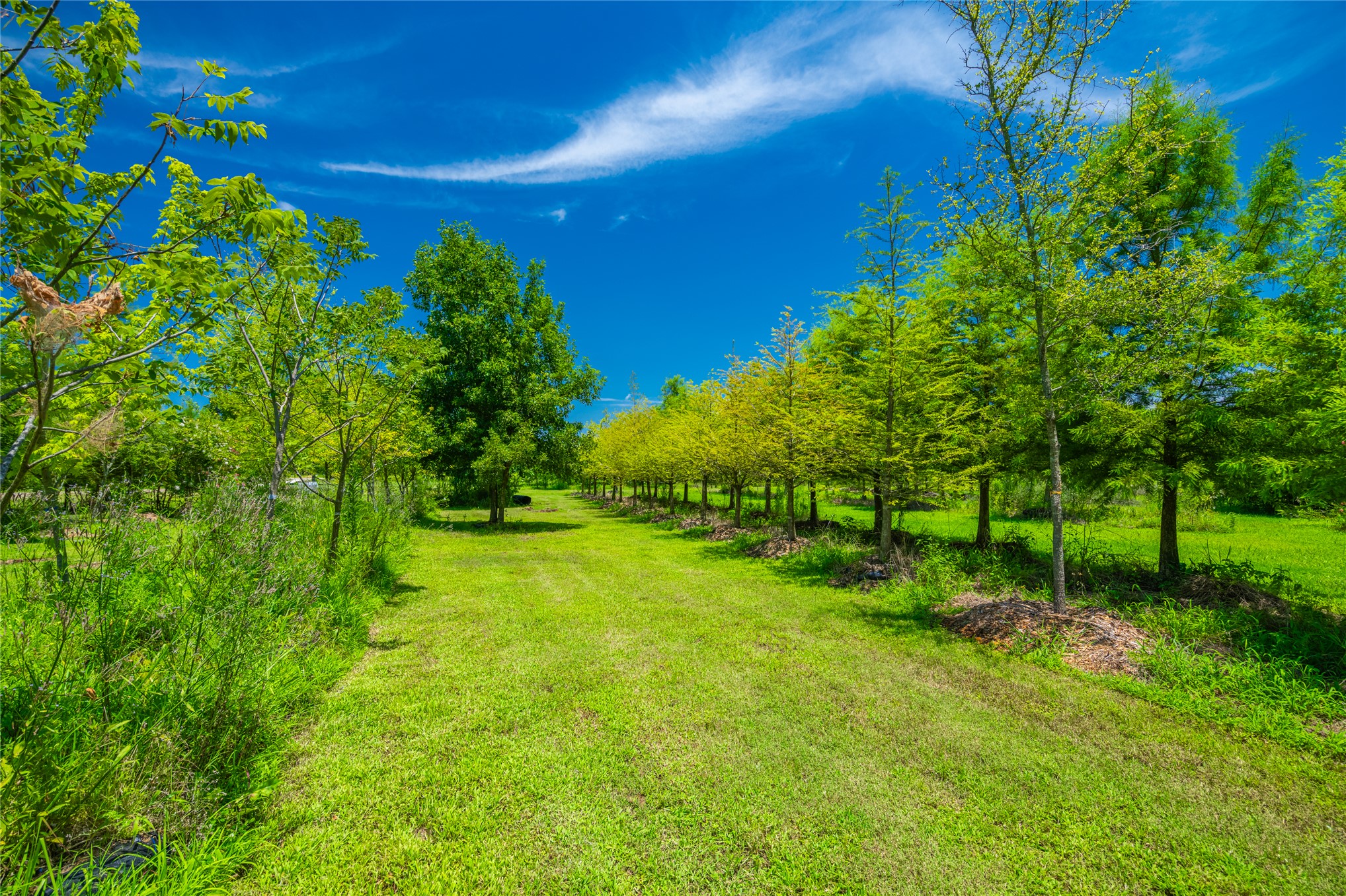 Hwy 37 Highway Garvin OK 74736