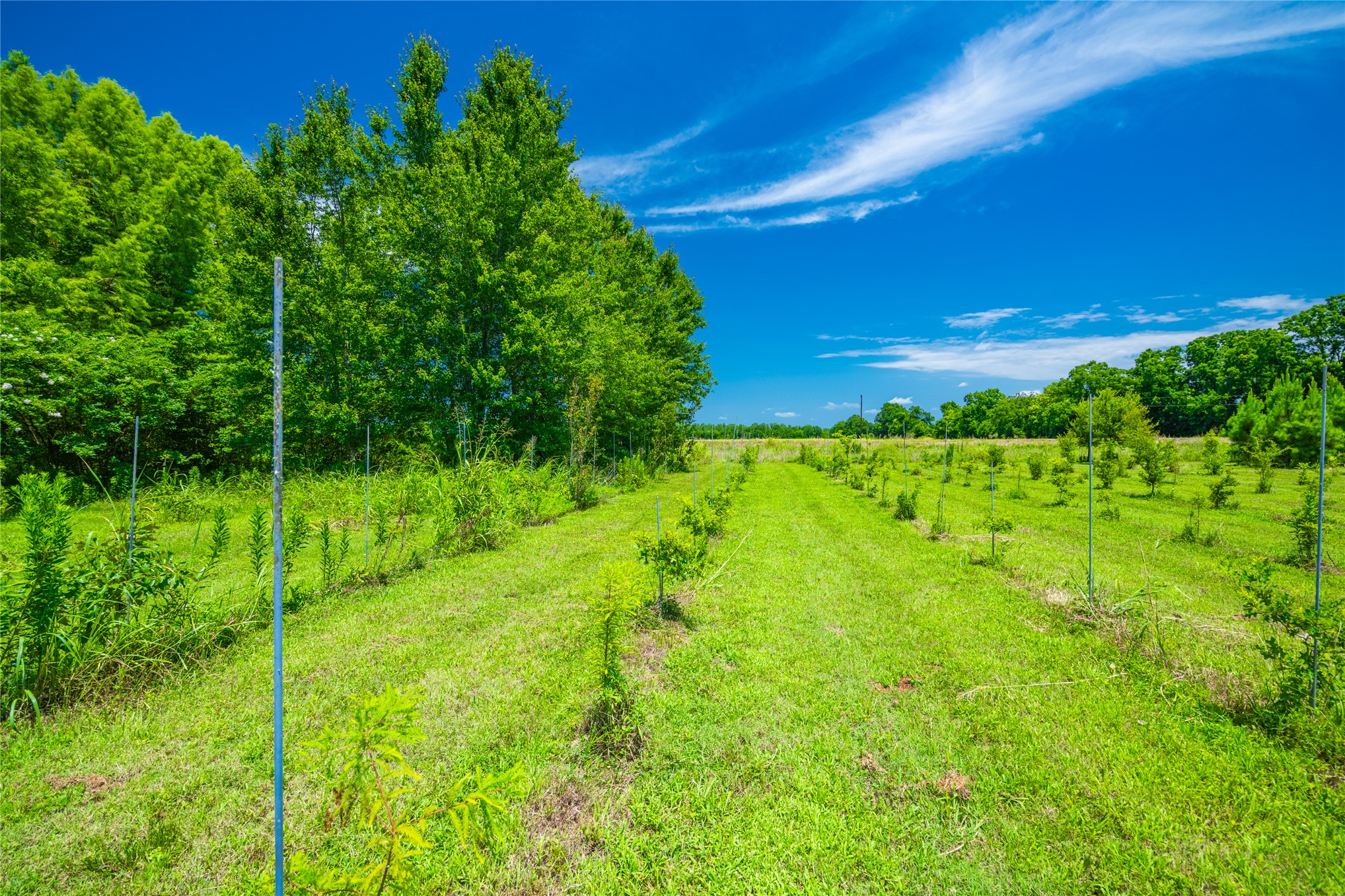 Hwy 37 Highway Garvin OK 74736