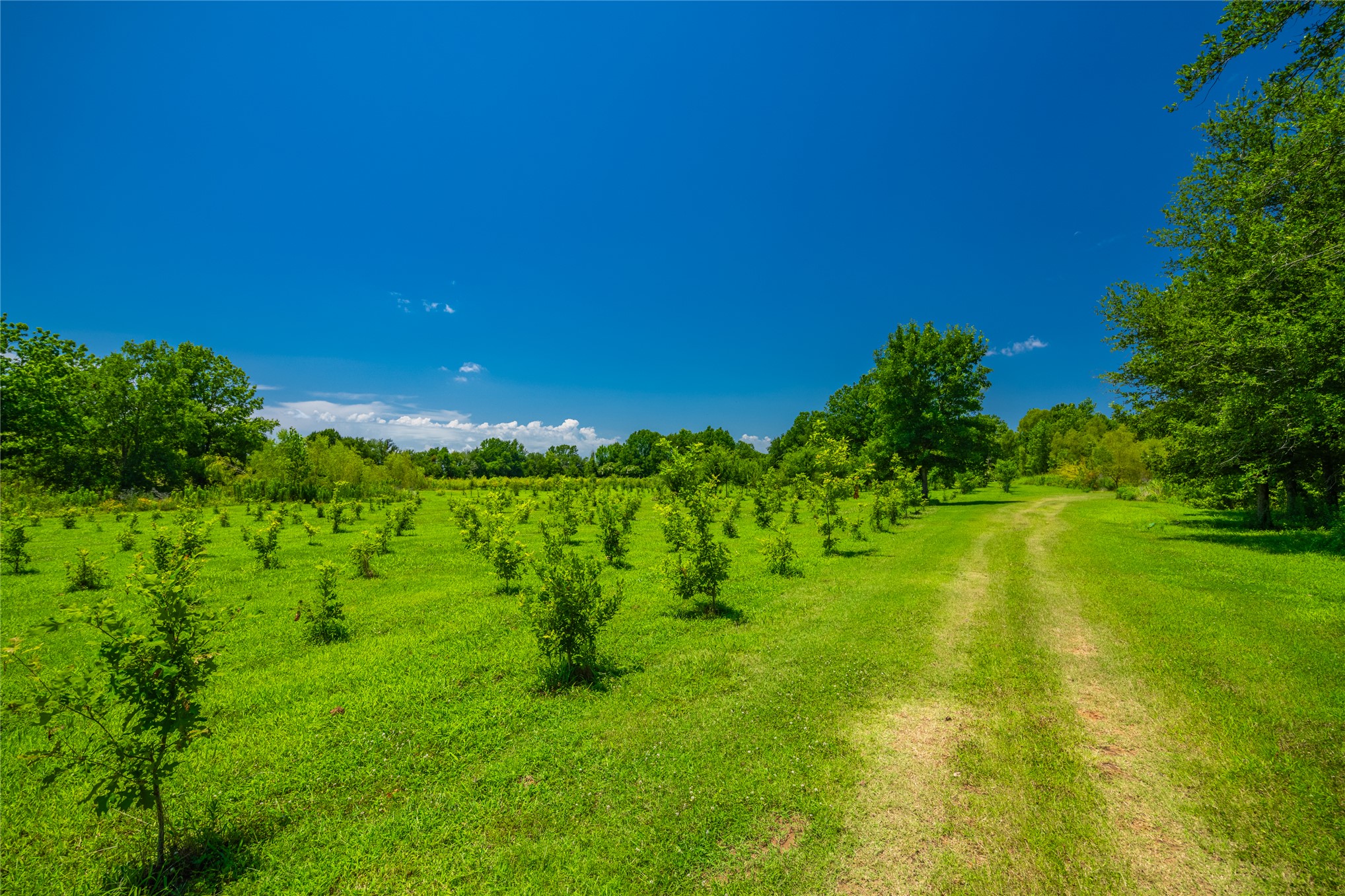 Hwy 37 Highway Garvin OK 74736
