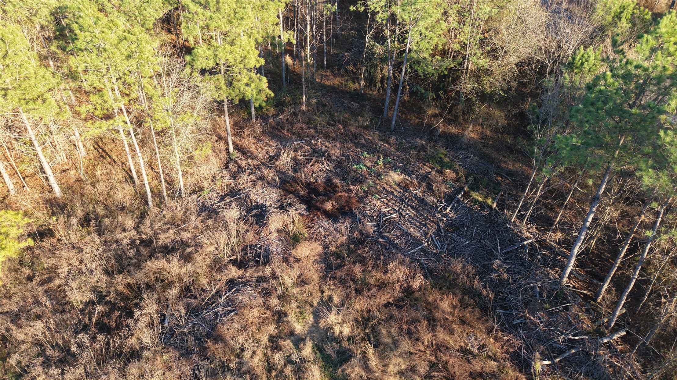 State Highway 144 Smithville OK 74957