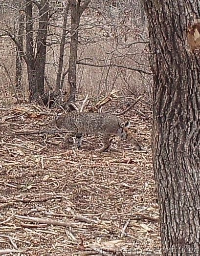 Maramec Twp OK 74058