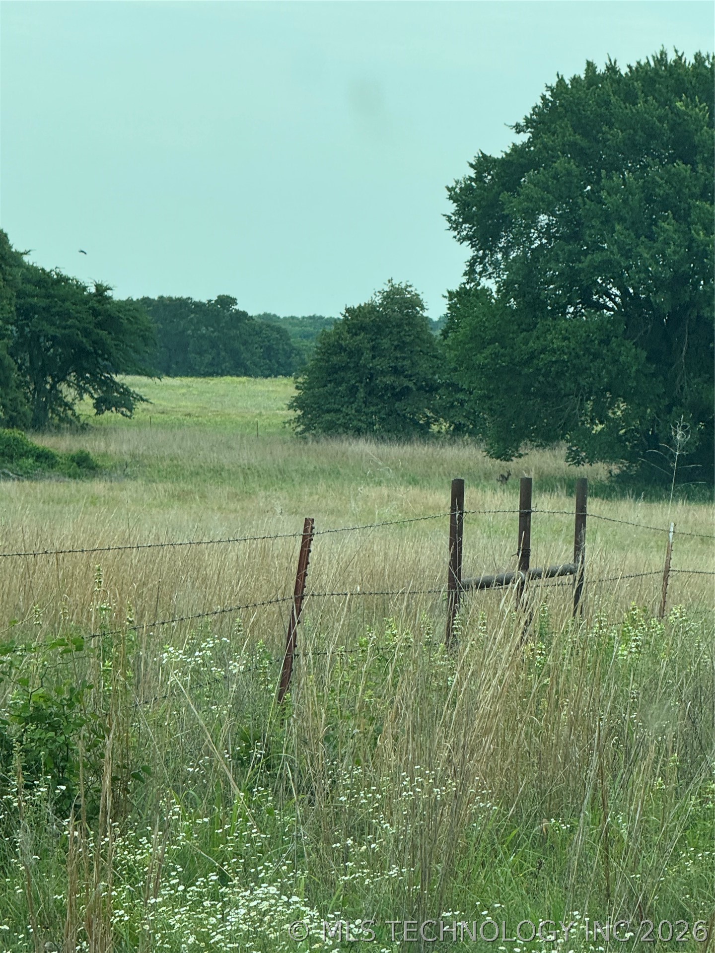 239 Snipe Lone Grove OK 73443