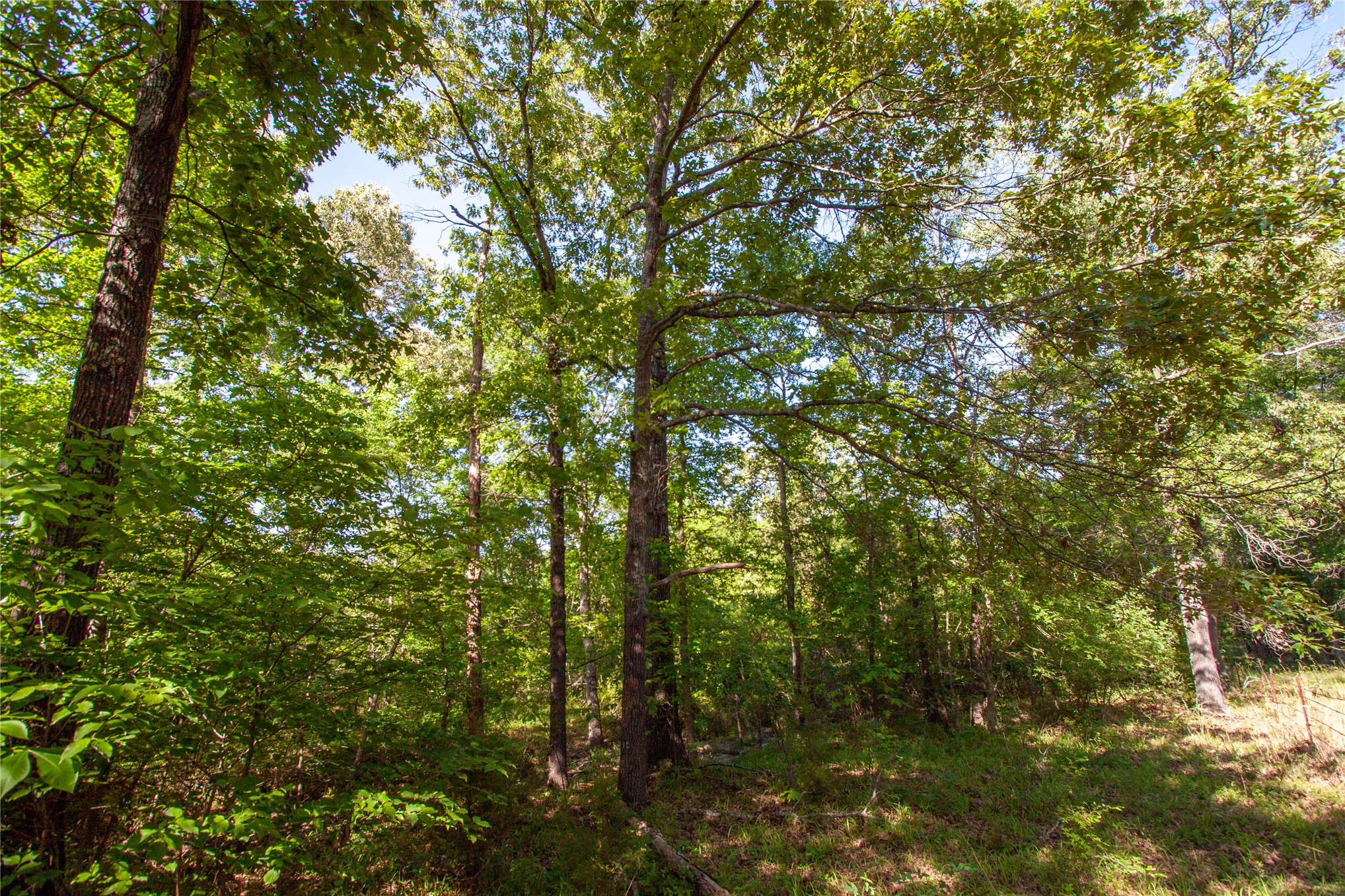 0000 E Nightingale Road Atoka OK 74525
