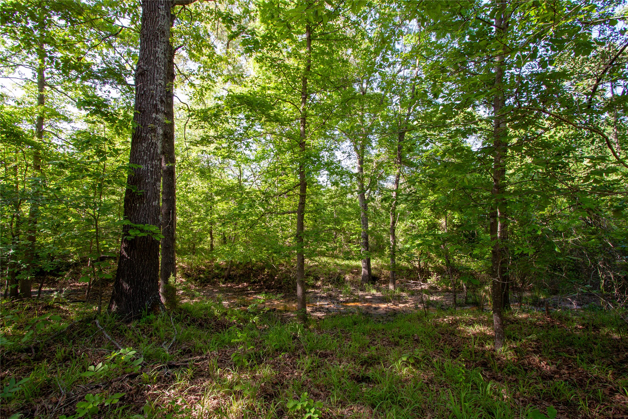 0000 E Nightingale Road Atoka OK 74525