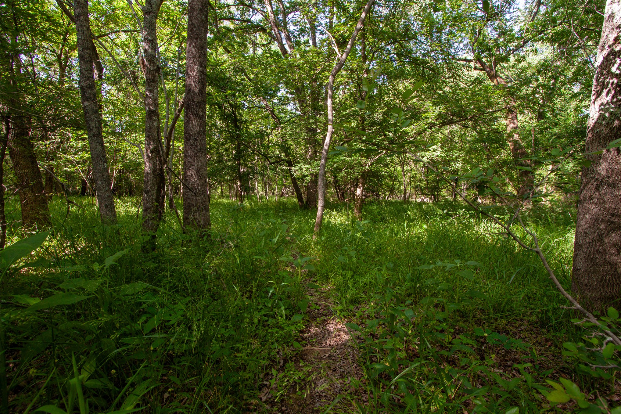 0000 E Nightingale Road Atoka OK 74525