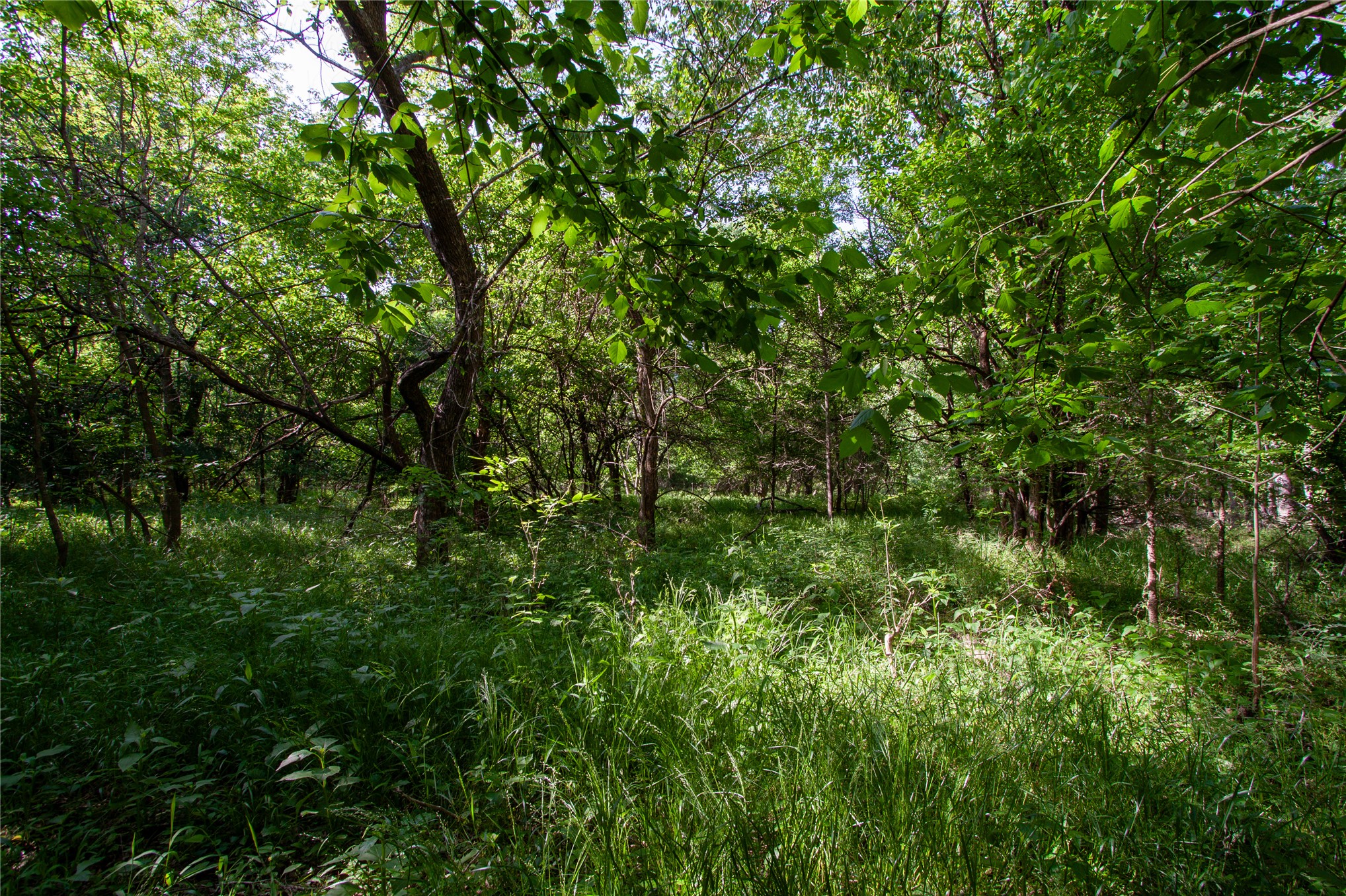 0000 E Nightingale Road Atoka OK 74525