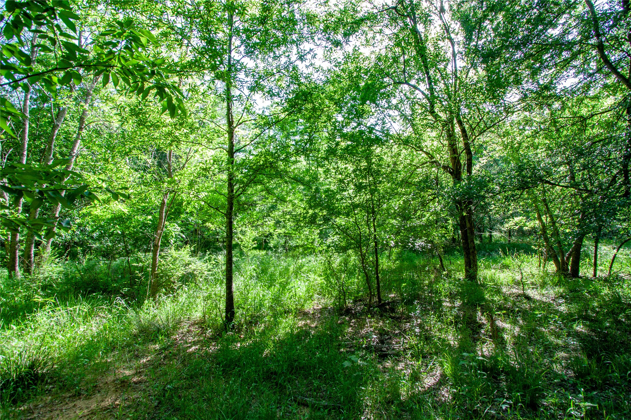 0000 E Nightingale Road Atoka OK 74525