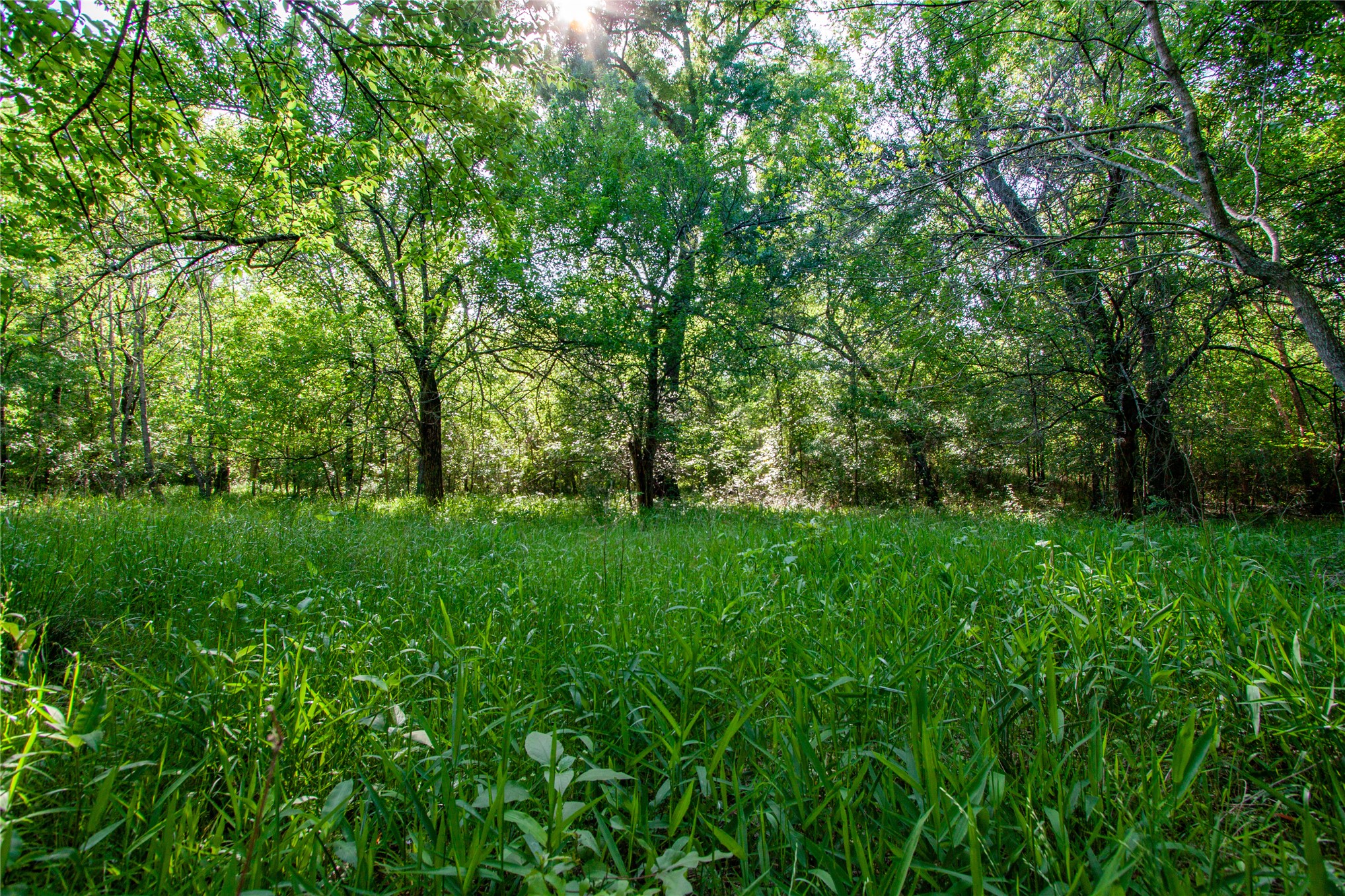 0000 E Nightingale Road Atoka OK 74525