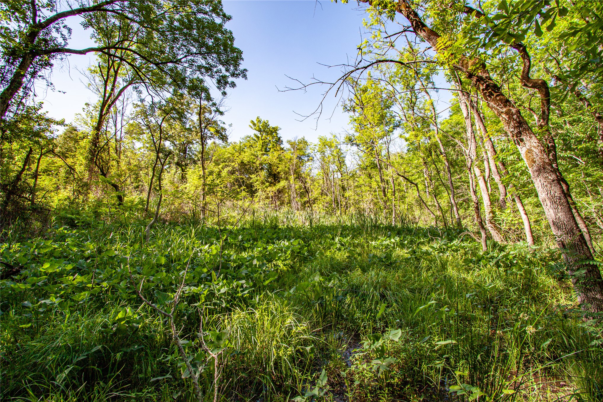 0000 E Nightingale Road Atoka OK 74525