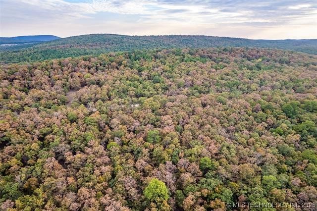 000 N 409 Road Pittsburg OK 74560