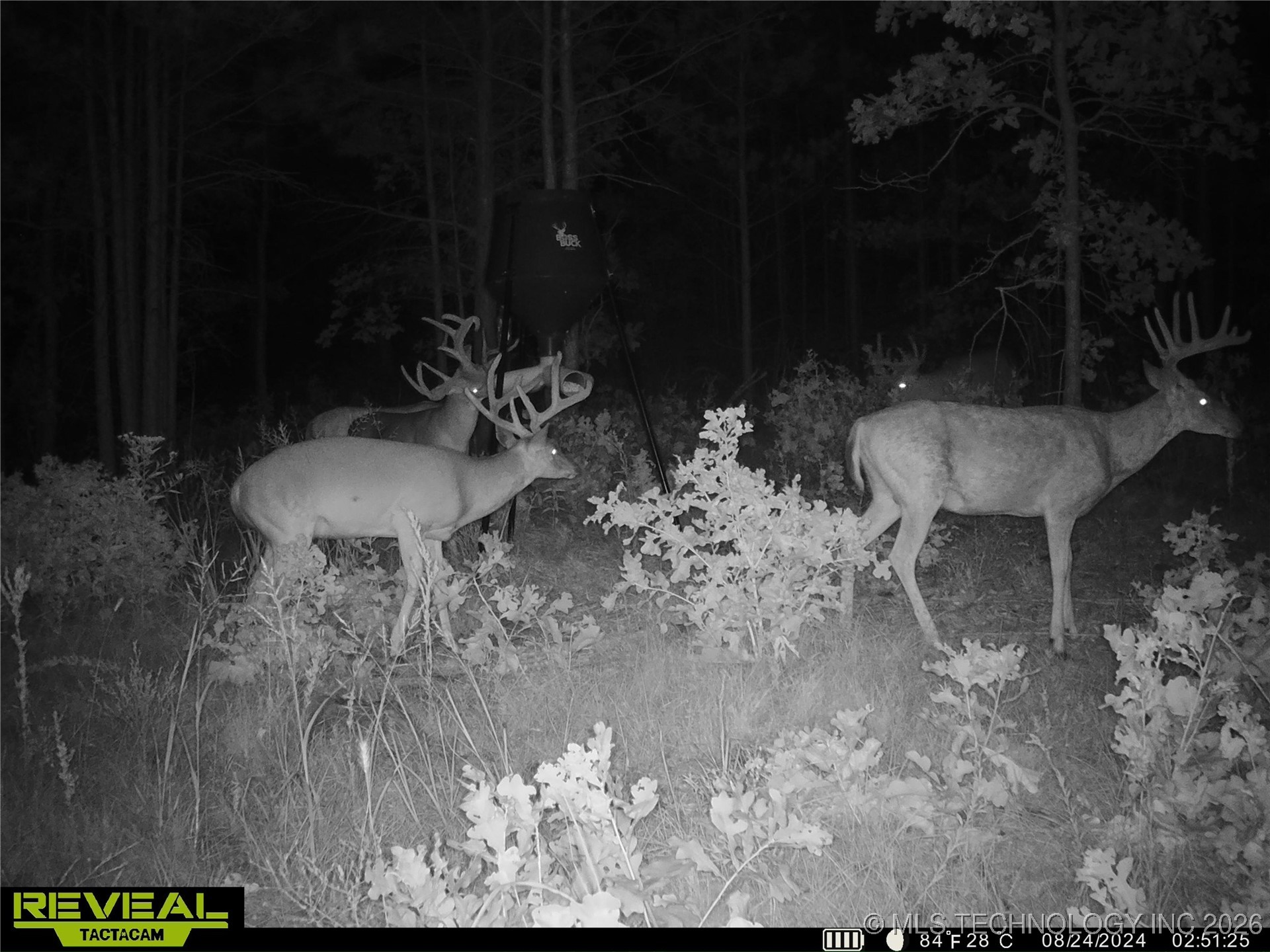 County Road 3885 Coalgate OK 74538