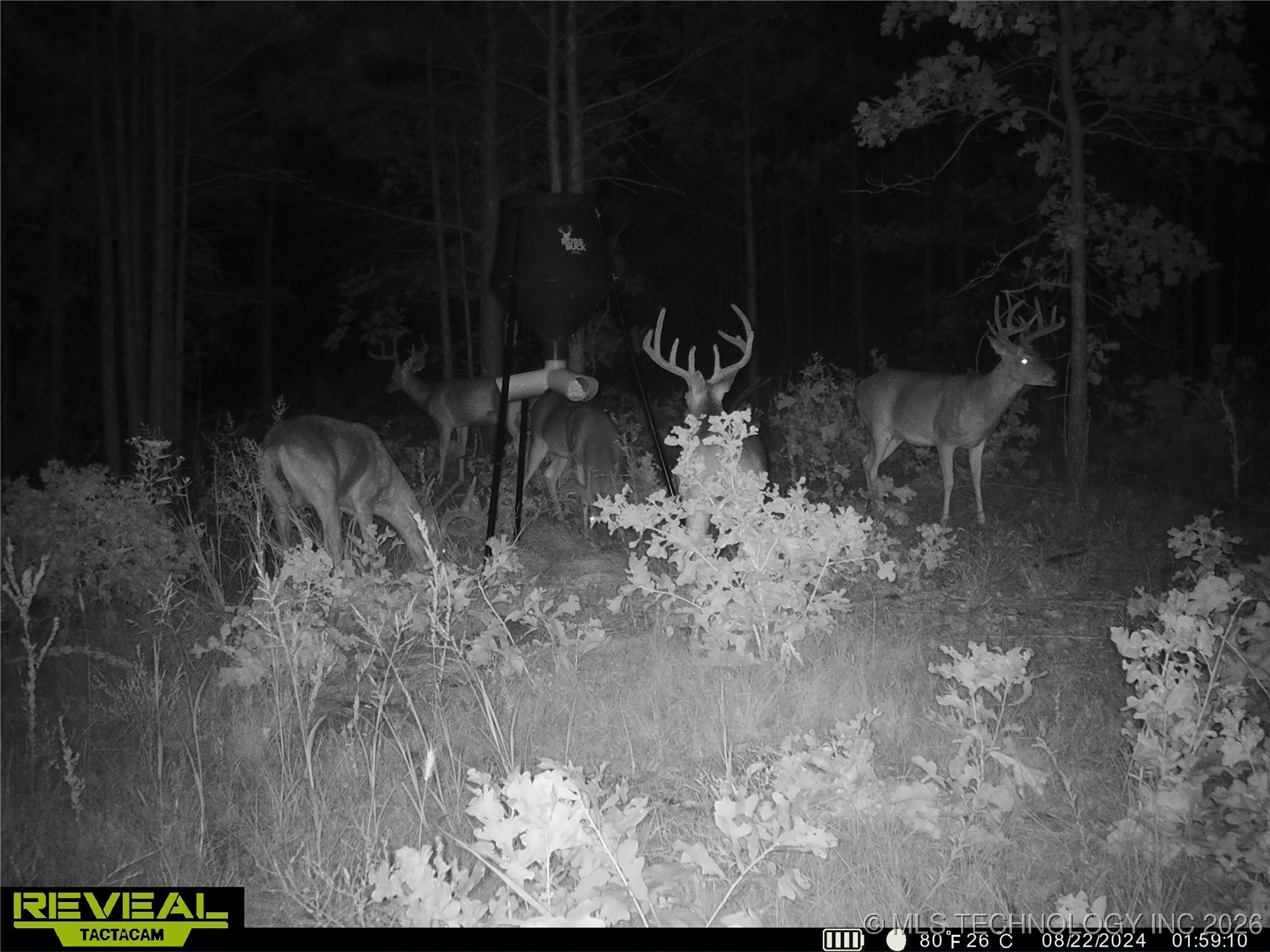 County Road 3885 Coalgate OK 74538
