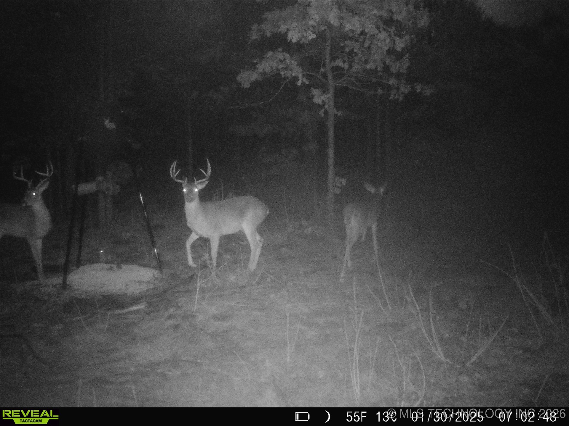 County Road 3885 Coalgate OK 74538
